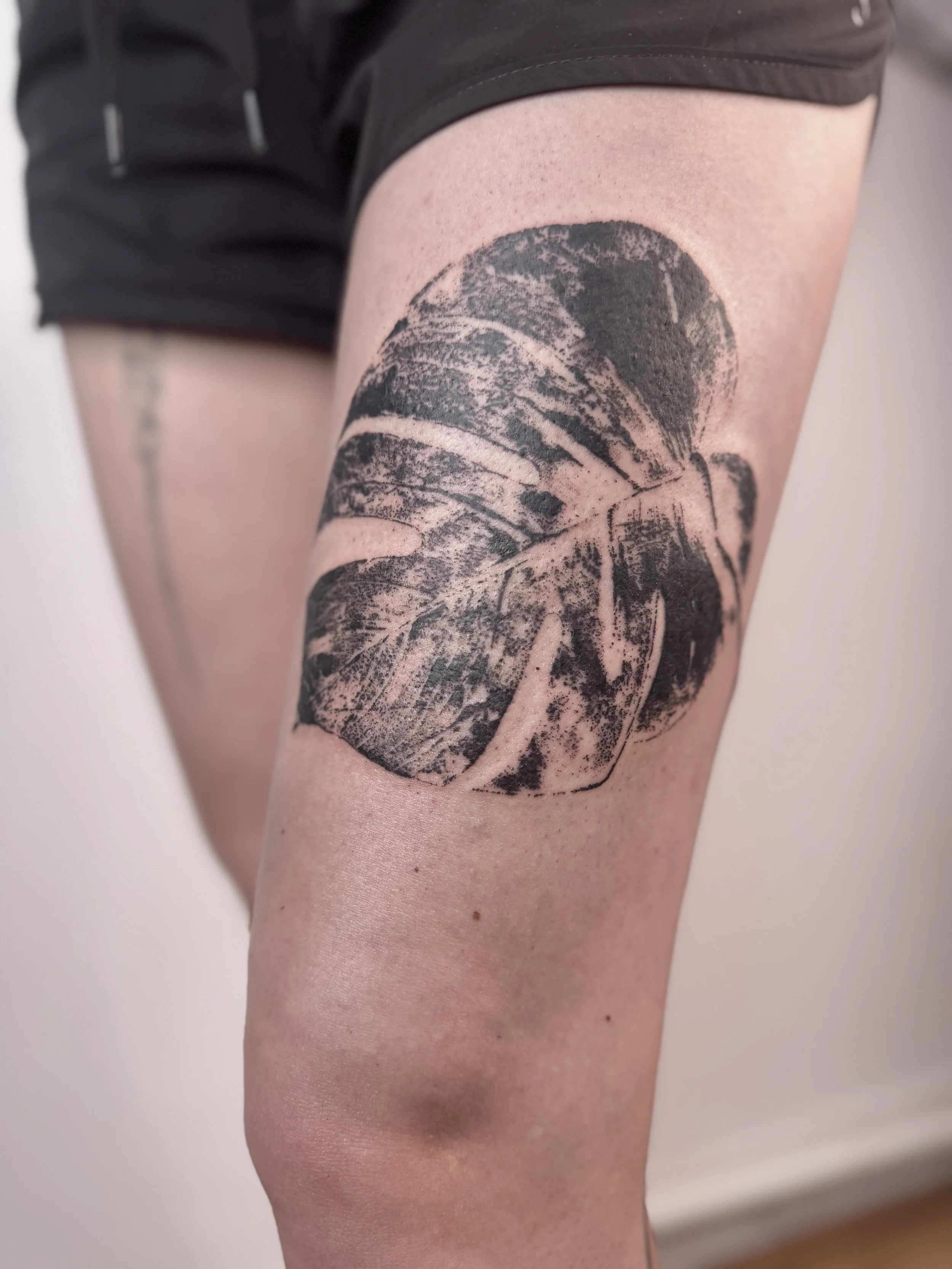 Monstera Cheese plant botanical imprint tattoo with organic texture, Vancouver based tattoo artist