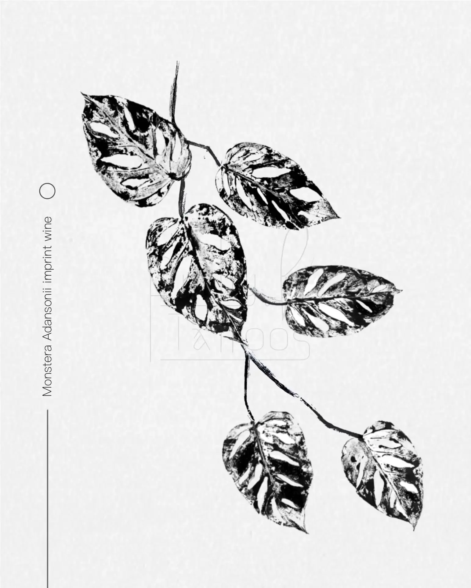 Monstera Adansonii imprint of the whole plant. Large tattoo idea