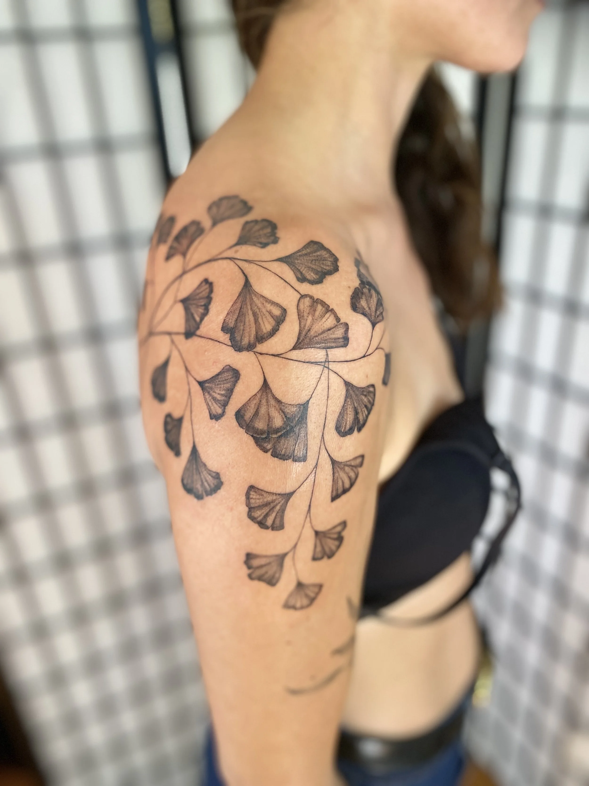 A woman's upper arm and shoulder with a black tattoo of ginkgo leaves and branches. Maiden fern freehand tattoo vancouver