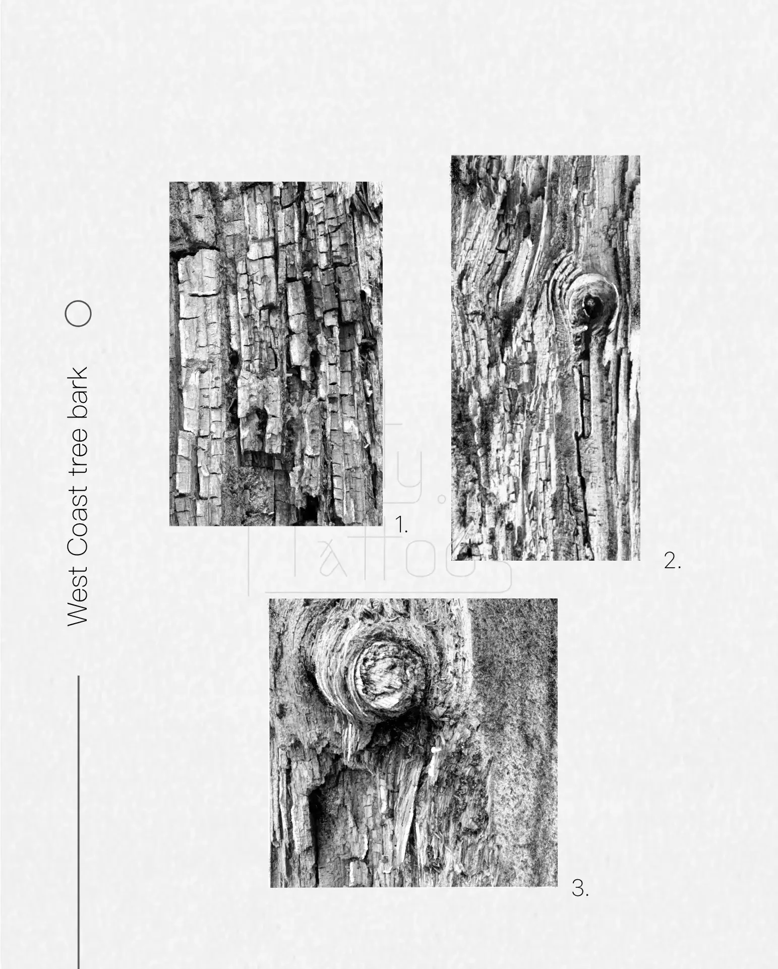 Wooden textures from West Coast, Vancouver BC. unique travel tattoo as a memory from working holiday visa trip. Nature lover tattoo