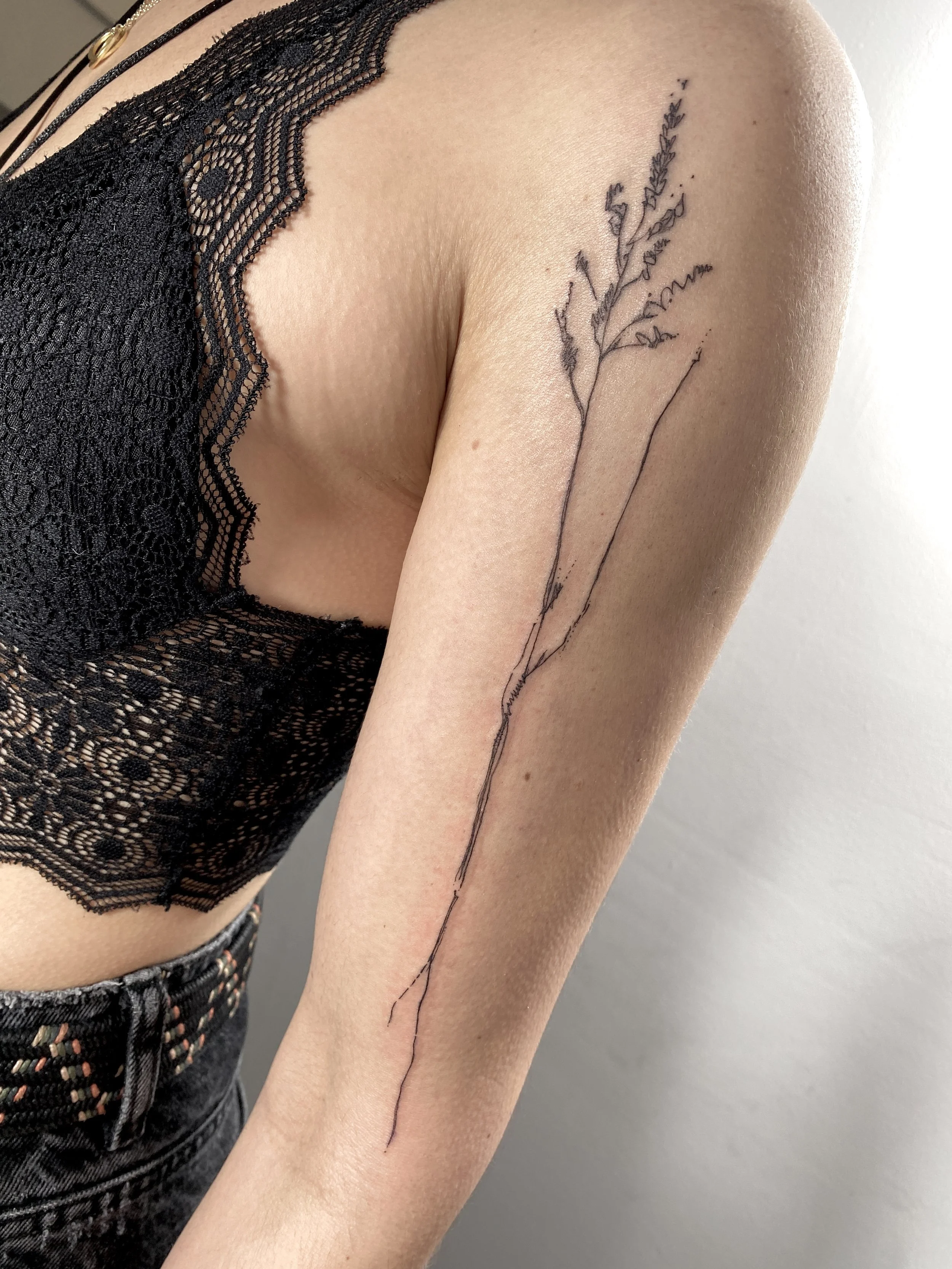 sketchy style illustrative grass botanical fineline tattoo