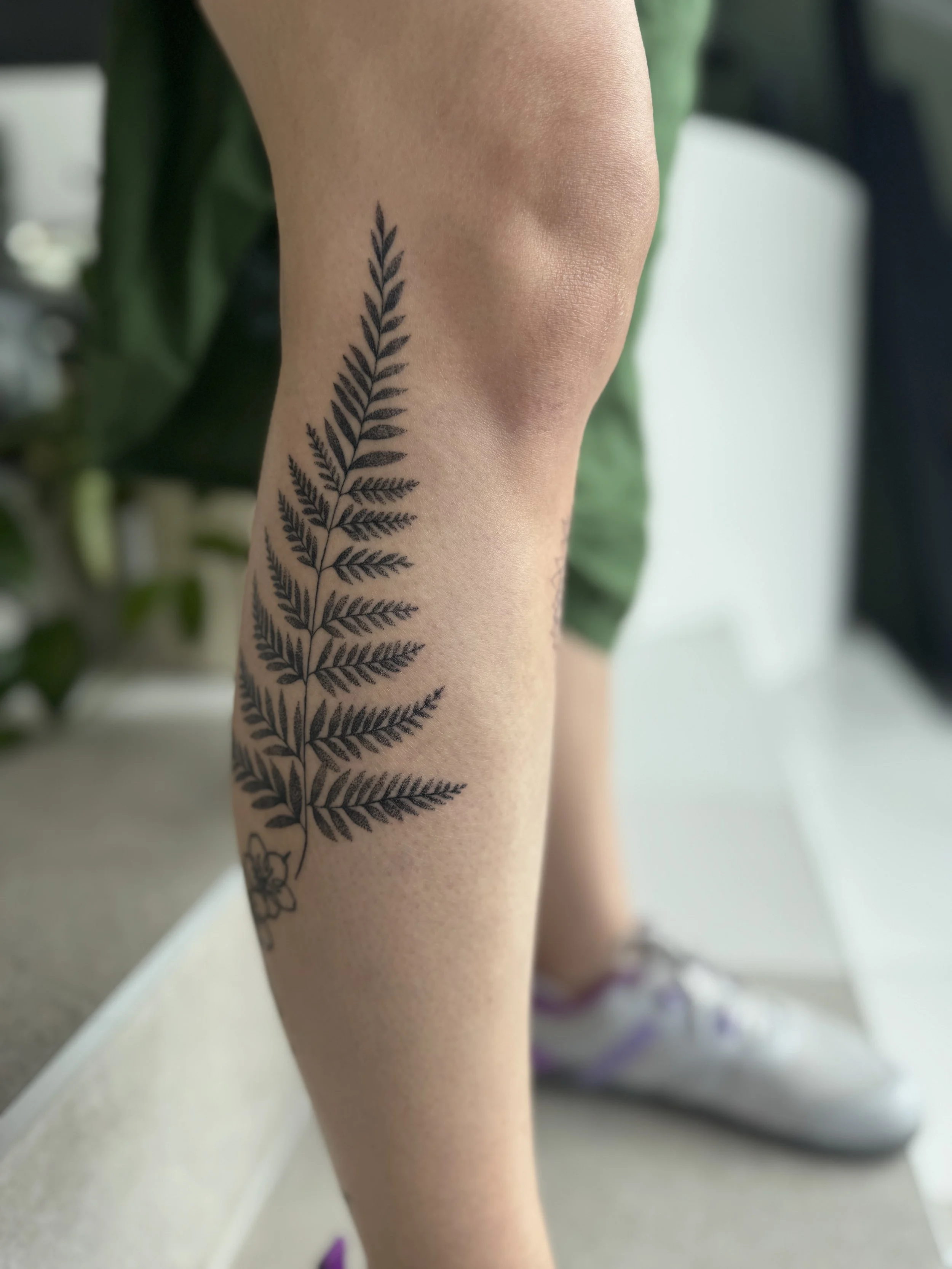 Tattoo of a fern leaf on a person's calf. botanical flash tattoo design available in Vancouver, fine line tattoo style