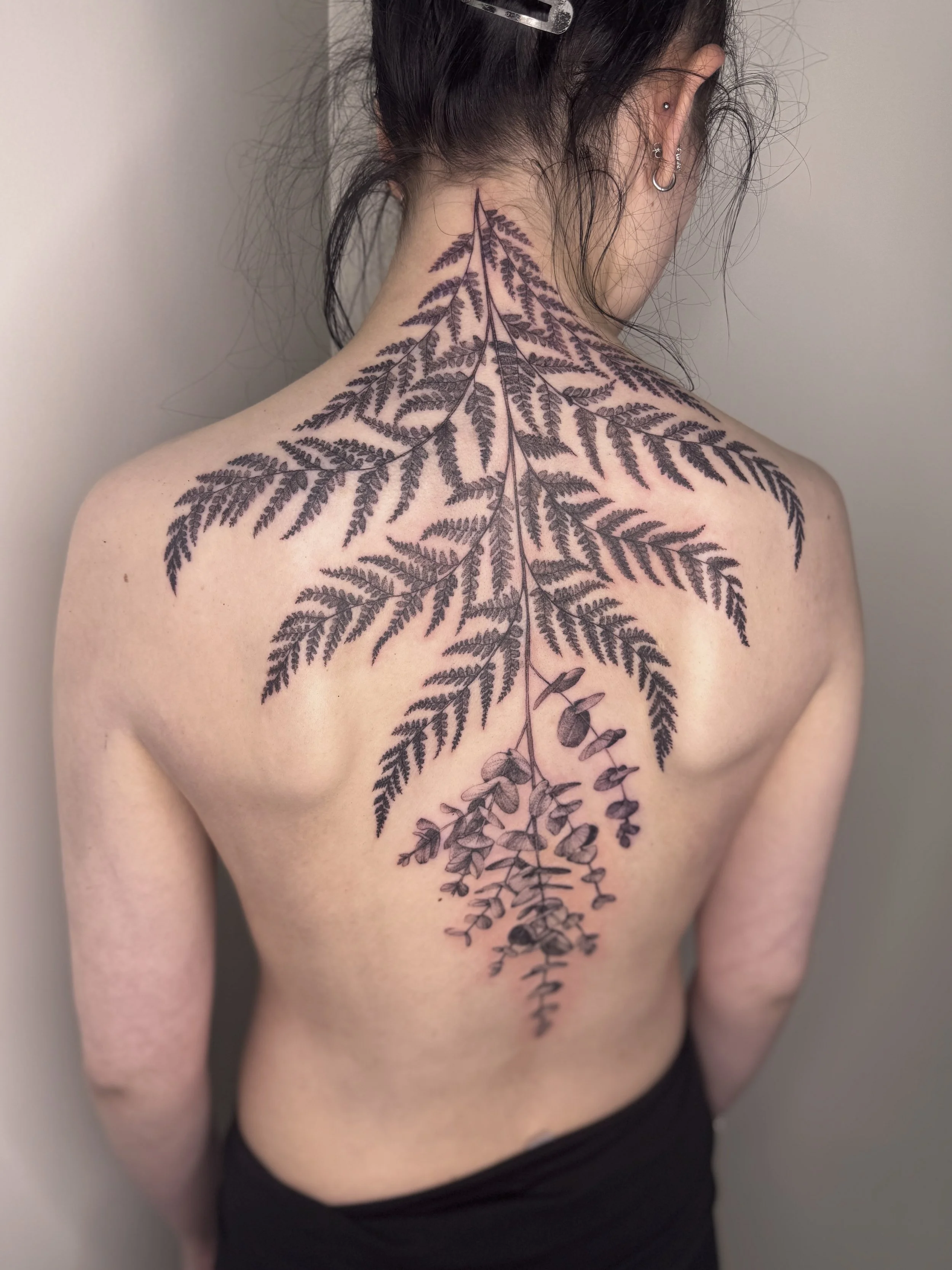 Back tattoo of detailed black fern leaves and eucalyptus branches on person's back and neck.