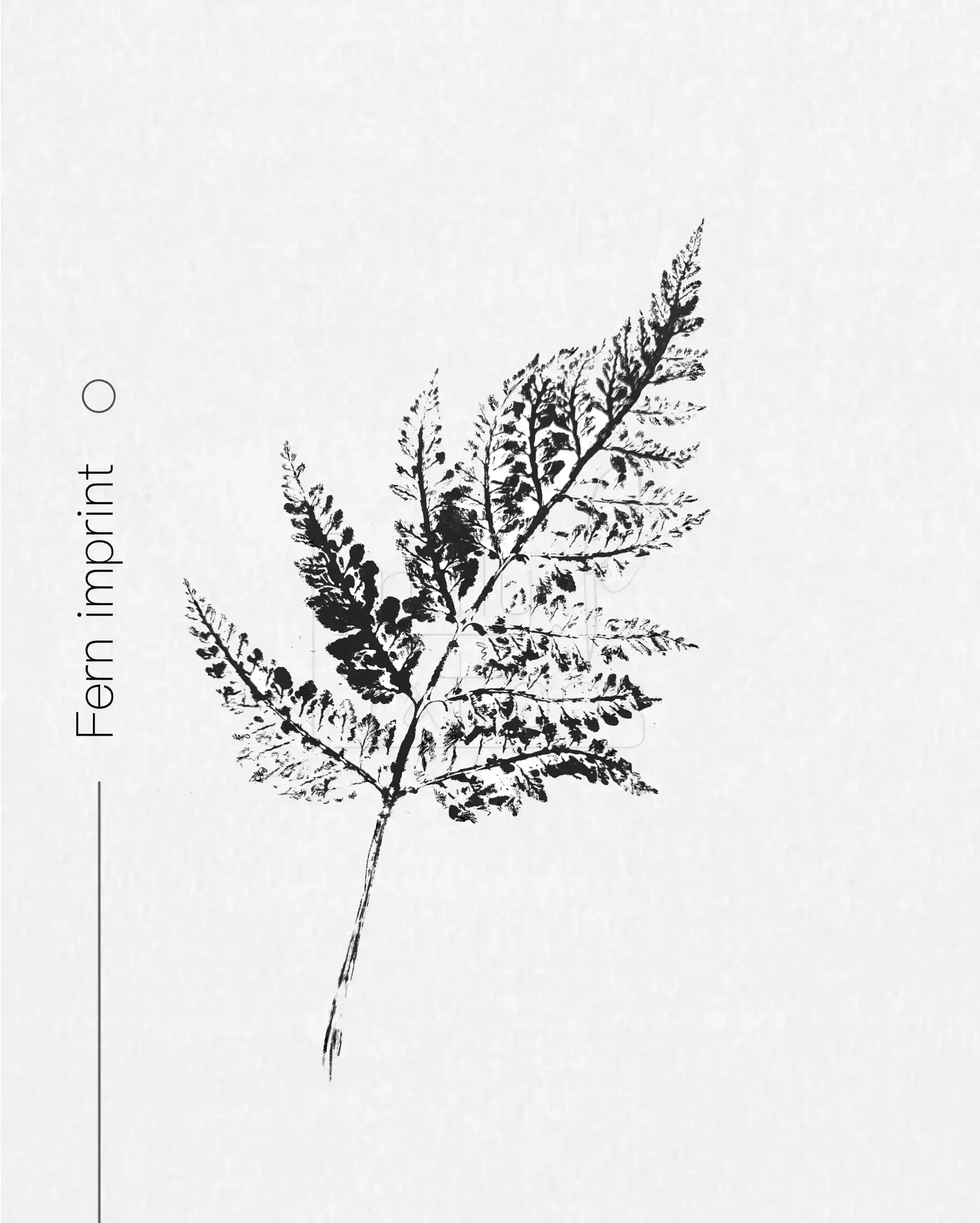 Fern imprint