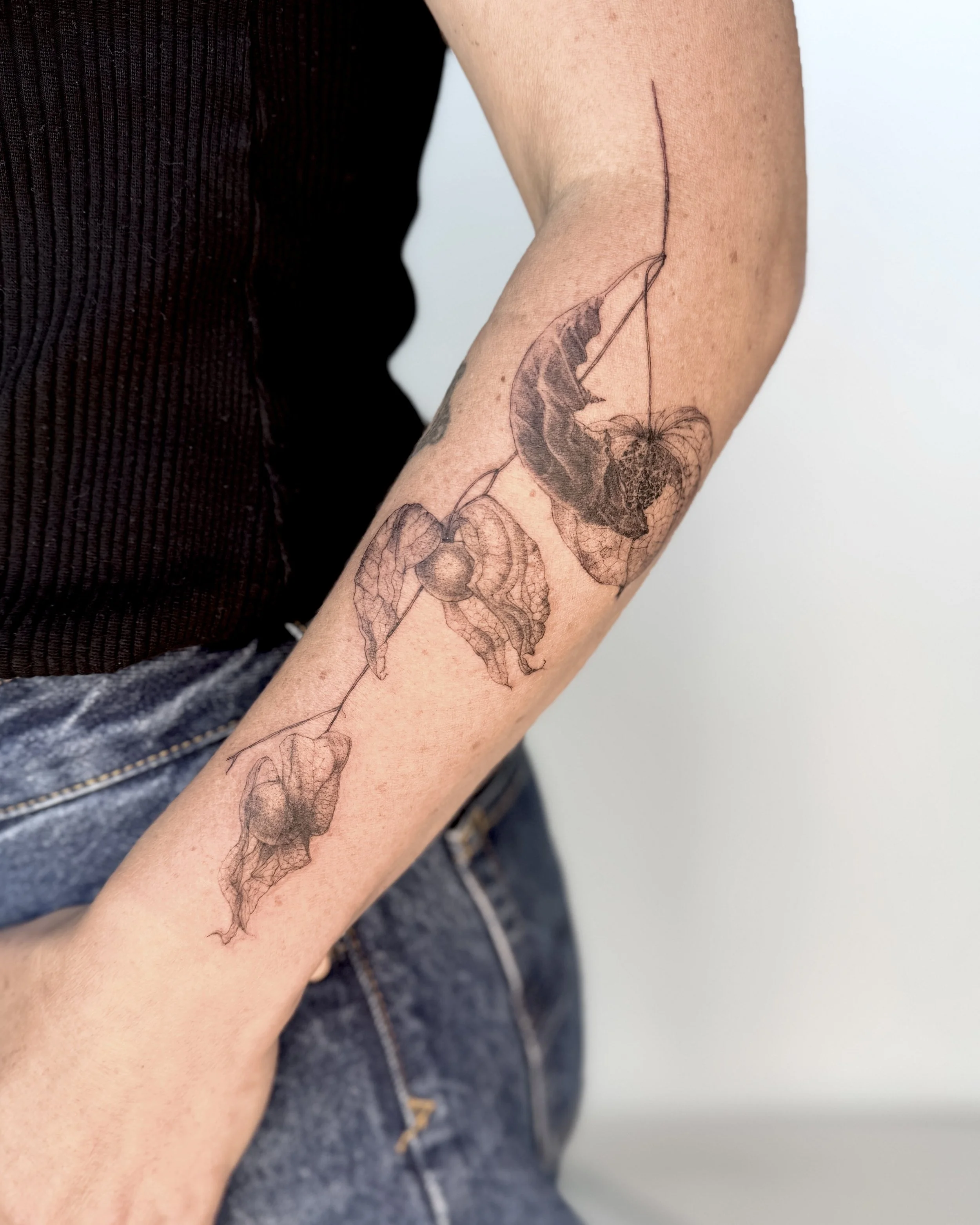 Physalis microrealistic tattoo on a forearm. Botanical tattoo vancouver 