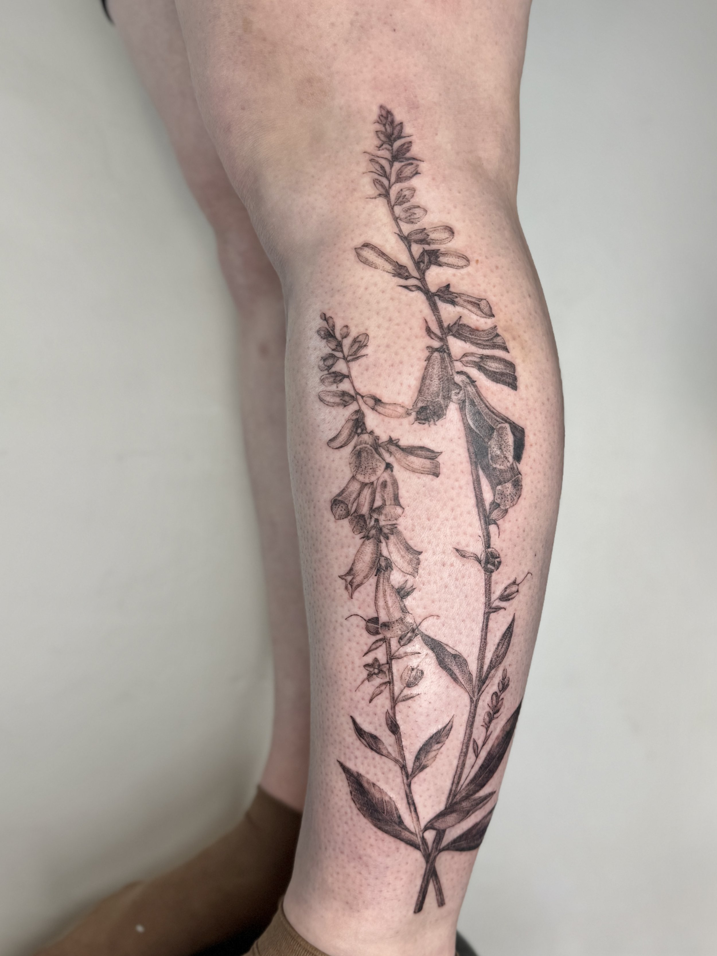 fox glove black and grey botanical tattoo made in British Colombia by Petra Zakoucka