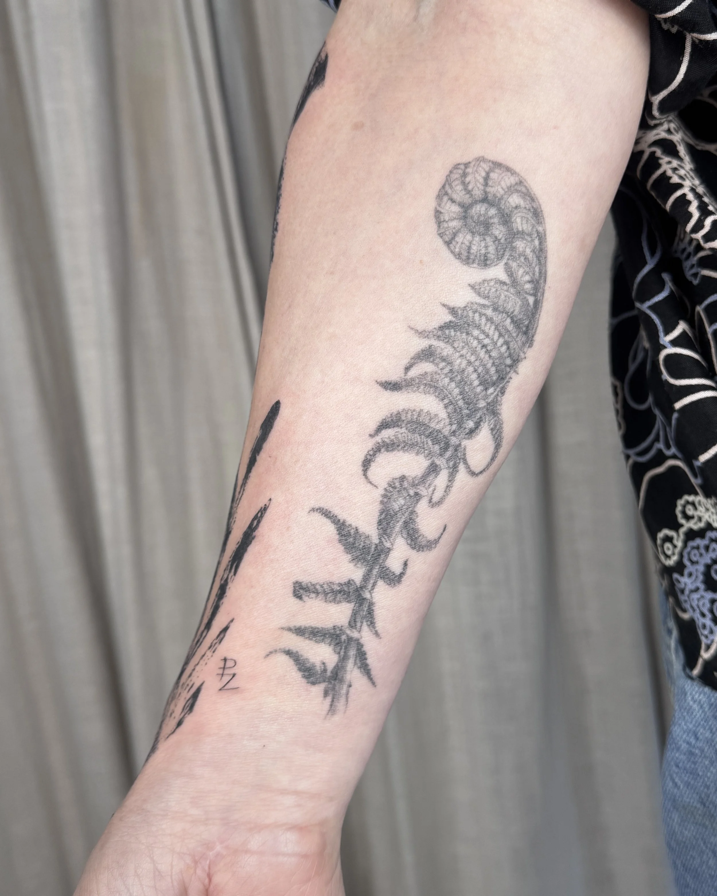 Close-up healed fern realistic tattoo with fine line precision, Vancouver BC