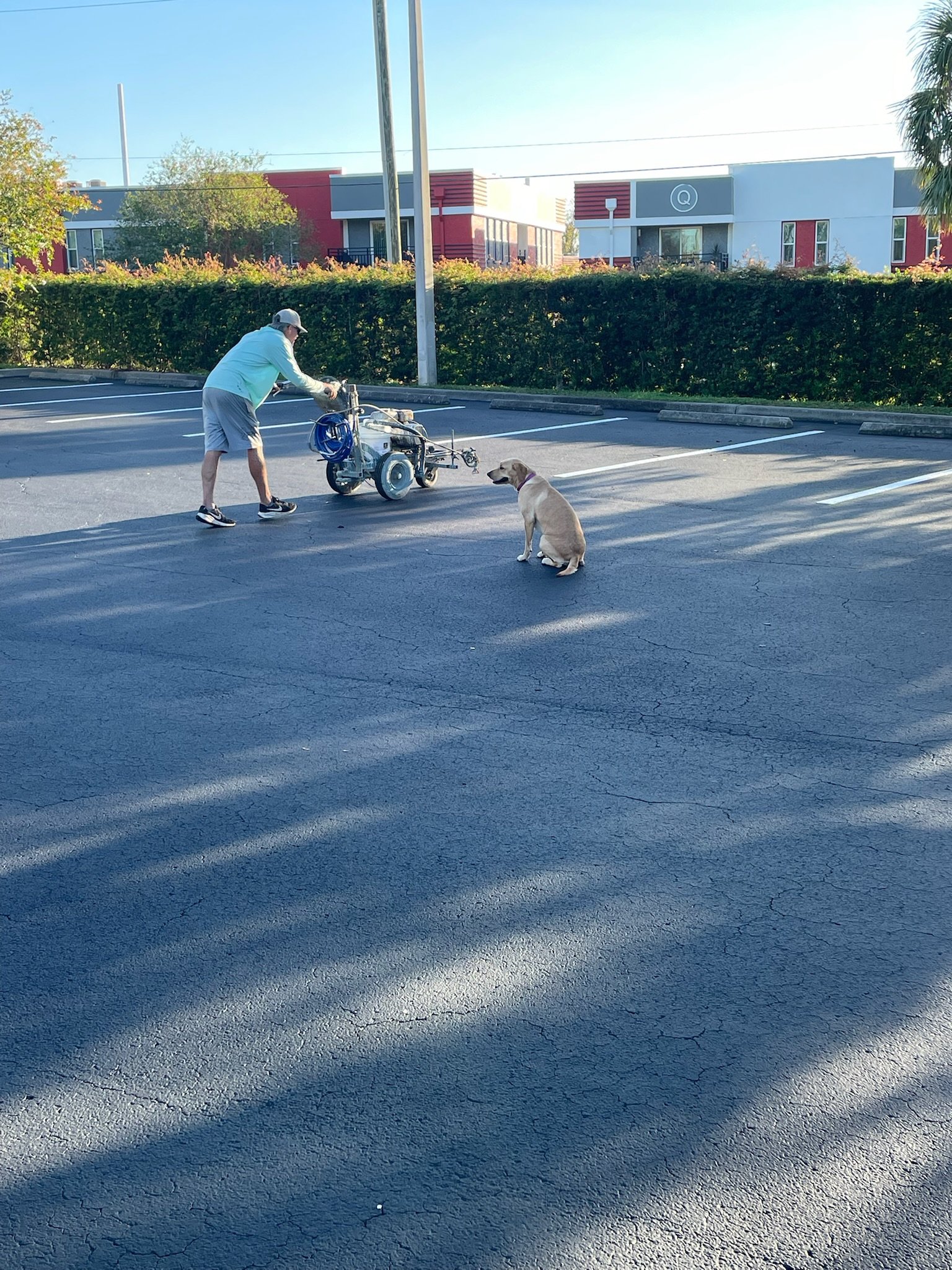 A person operating a machine in a mostly empty parking lot, with a dog sitting nearby. The background shows modern buildings and greenery, and shadows are cast on the asphalt.