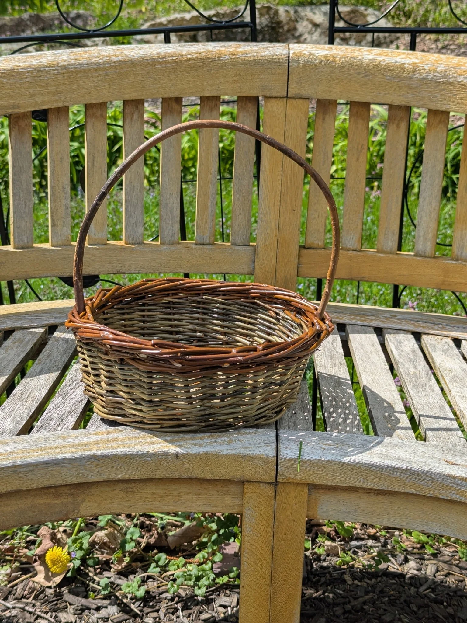 Wendling Willows Basketry Gathering basket workshop.jpg