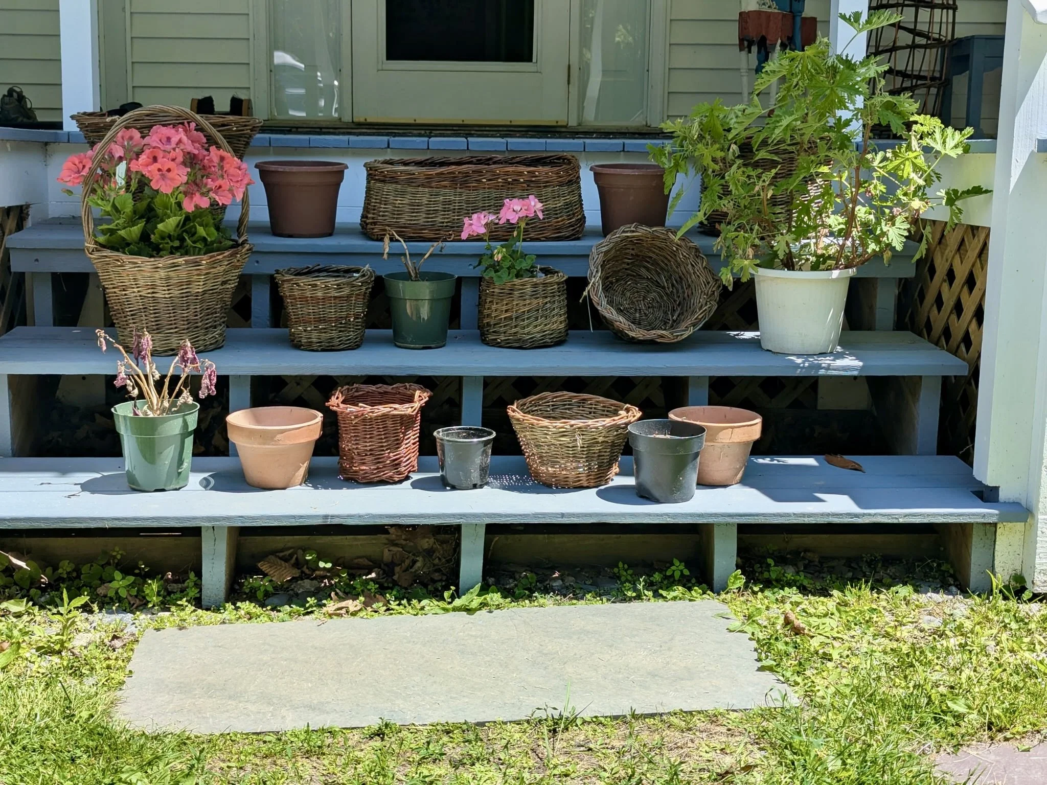 Wendling Willows Basketry Jardinere display.jpg