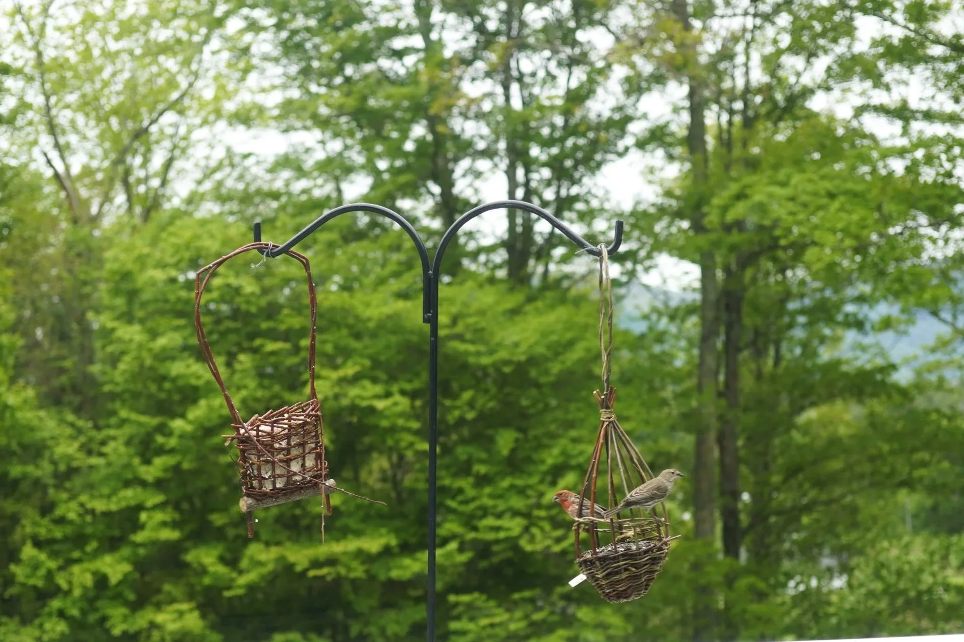 Bird Feeders by Wendling Willows Basketry Williamstown MA