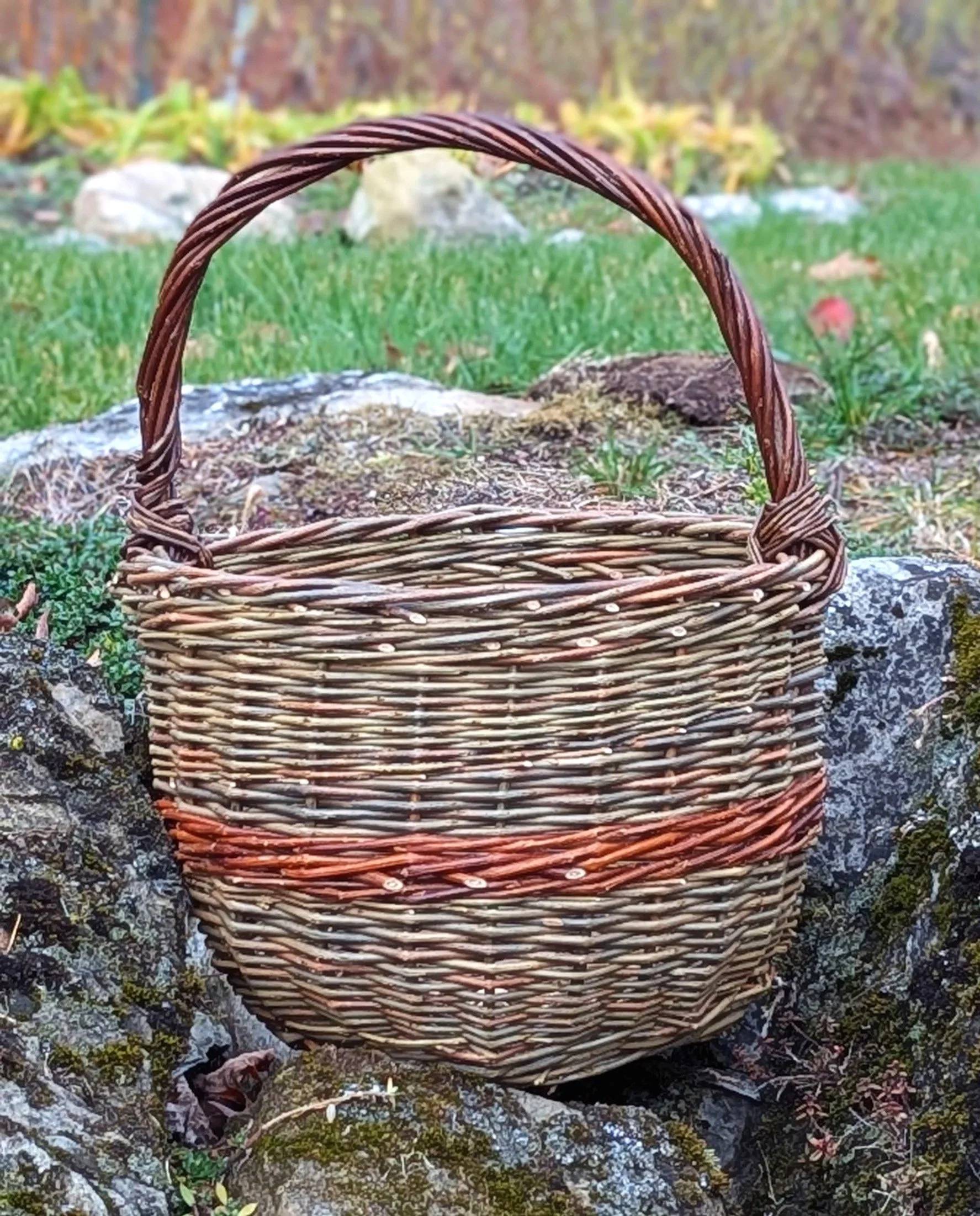 Wendling Willows 2-day basket