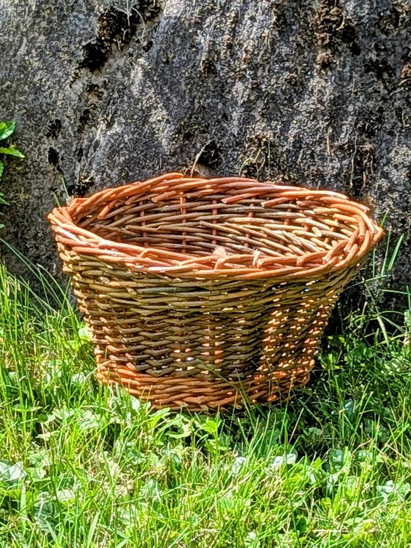 Small+round++basket+Wendling+Willows+Williamstown+MA.jpg