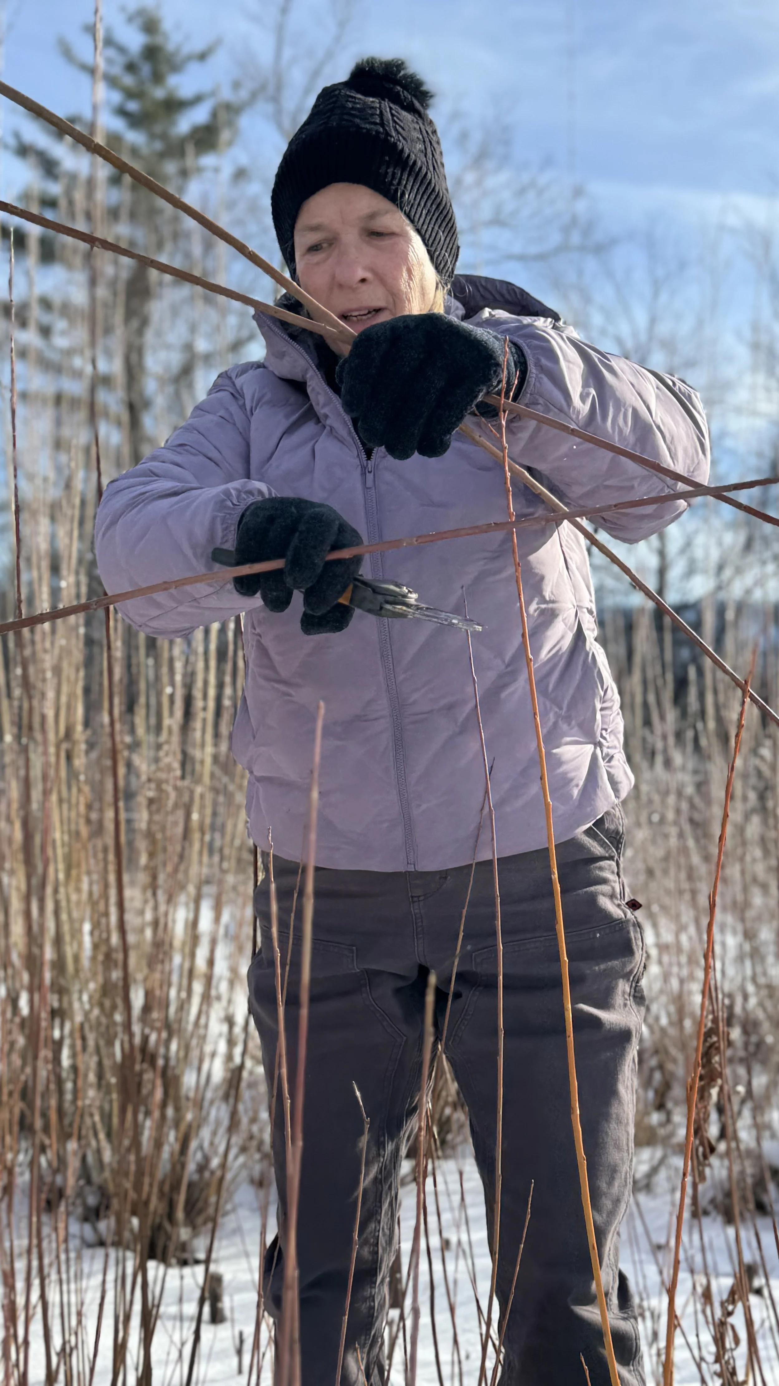 Heleny Cook in the field