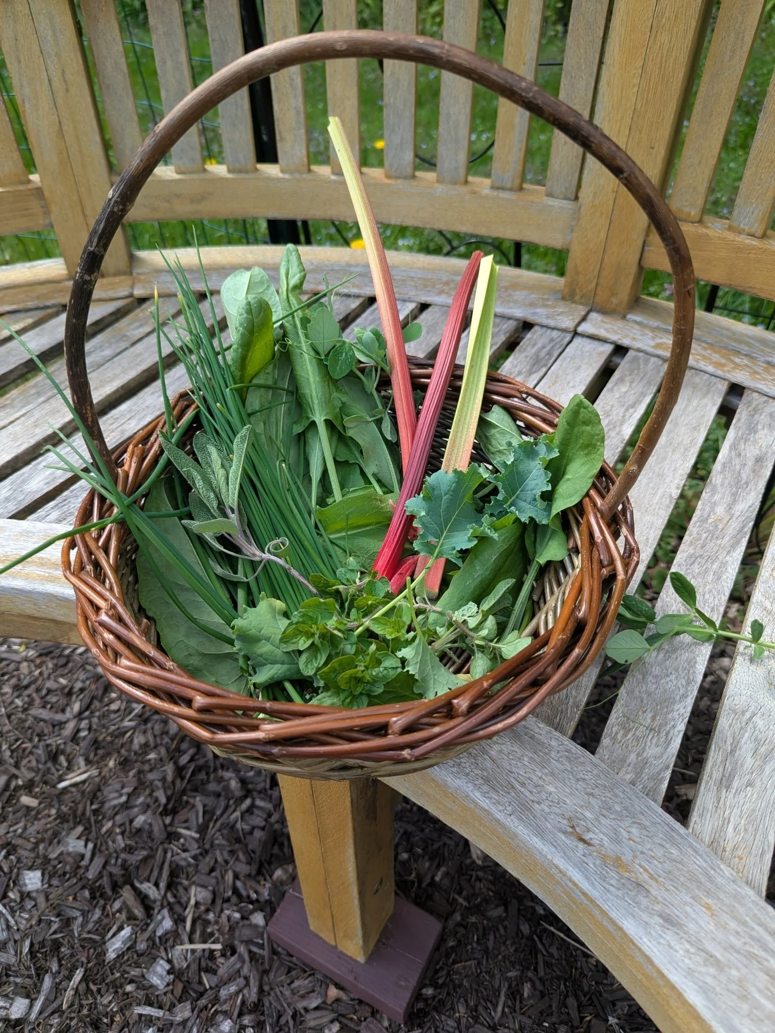 Wendling Willows Basketry Gathering basket to harvest garden greens.jpg