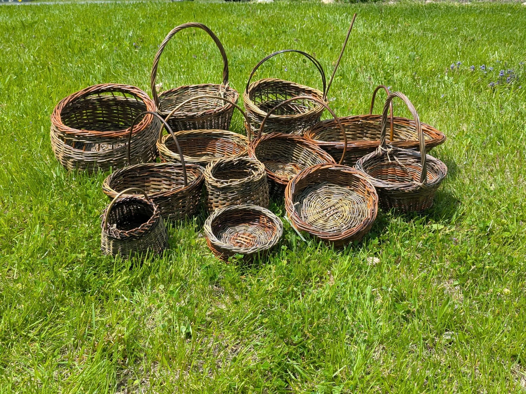 Wendling Willows Basketry Apple Basket Workshop.jpg