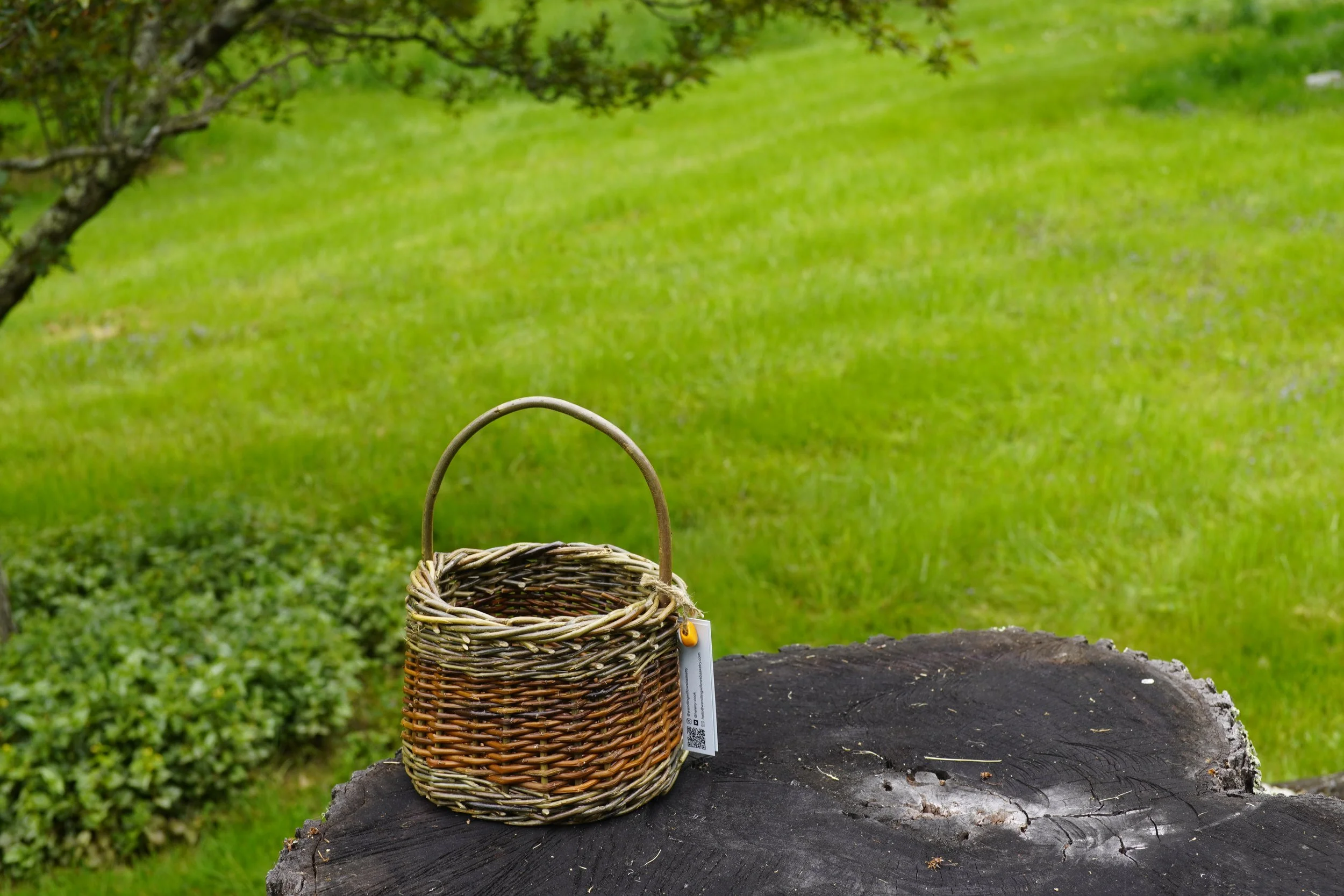 Wendling Willows Berry Basket Workshop Williamstown MA