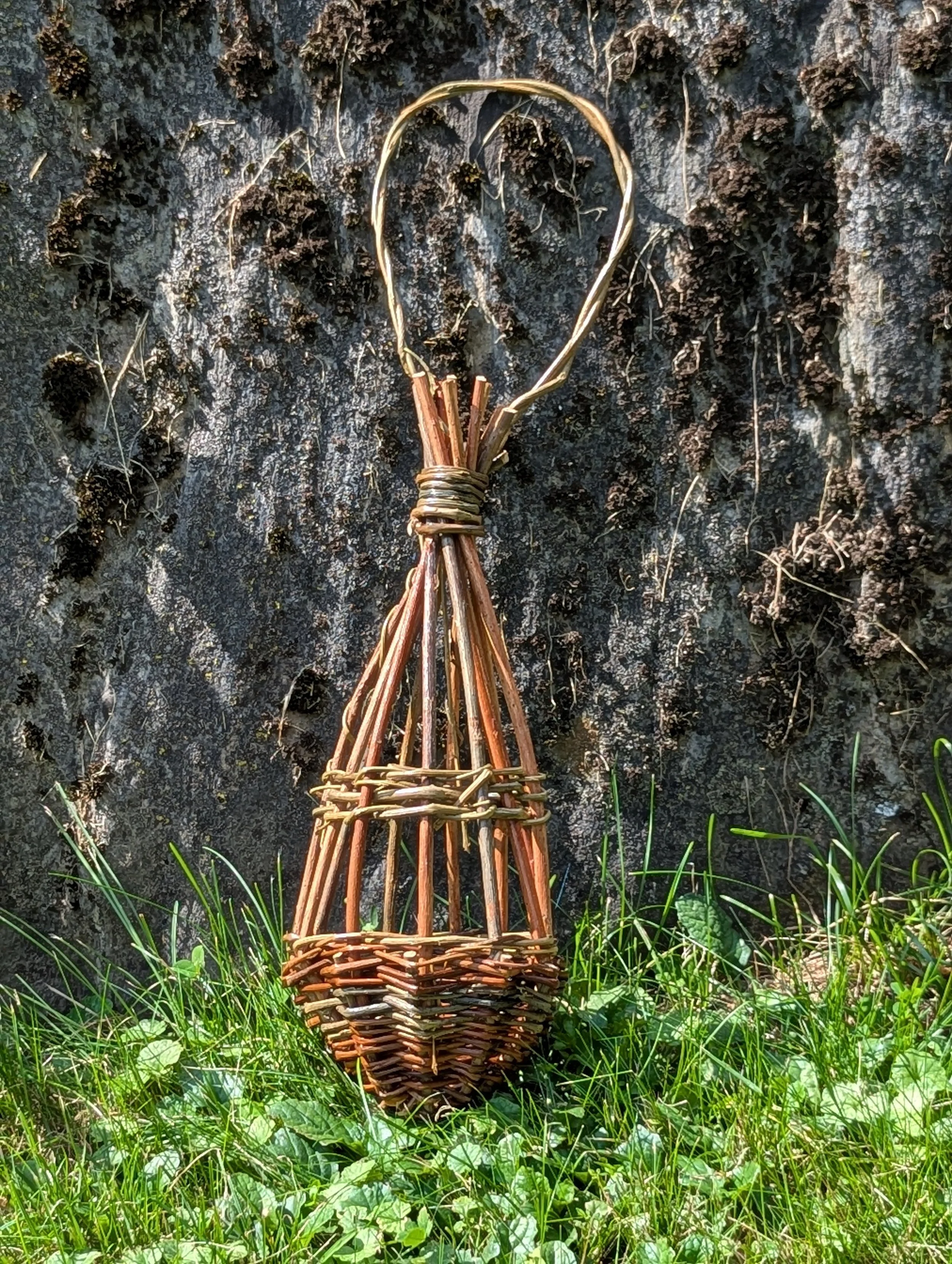 Small woven basket hanging from a hook in a tree trunk surrounded by green grass.