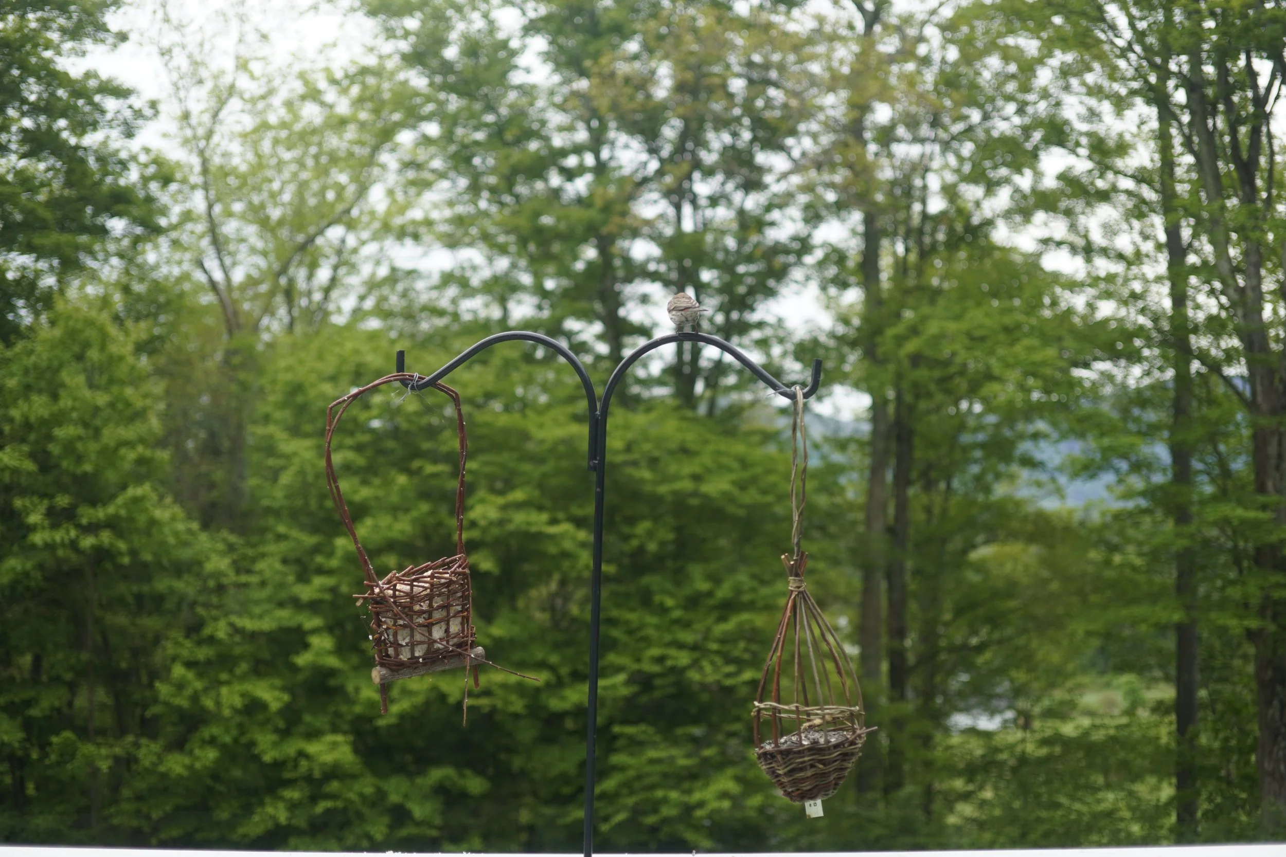 Three small woven bird nests hanging on a black metal stand outdoors with green trees in the background.