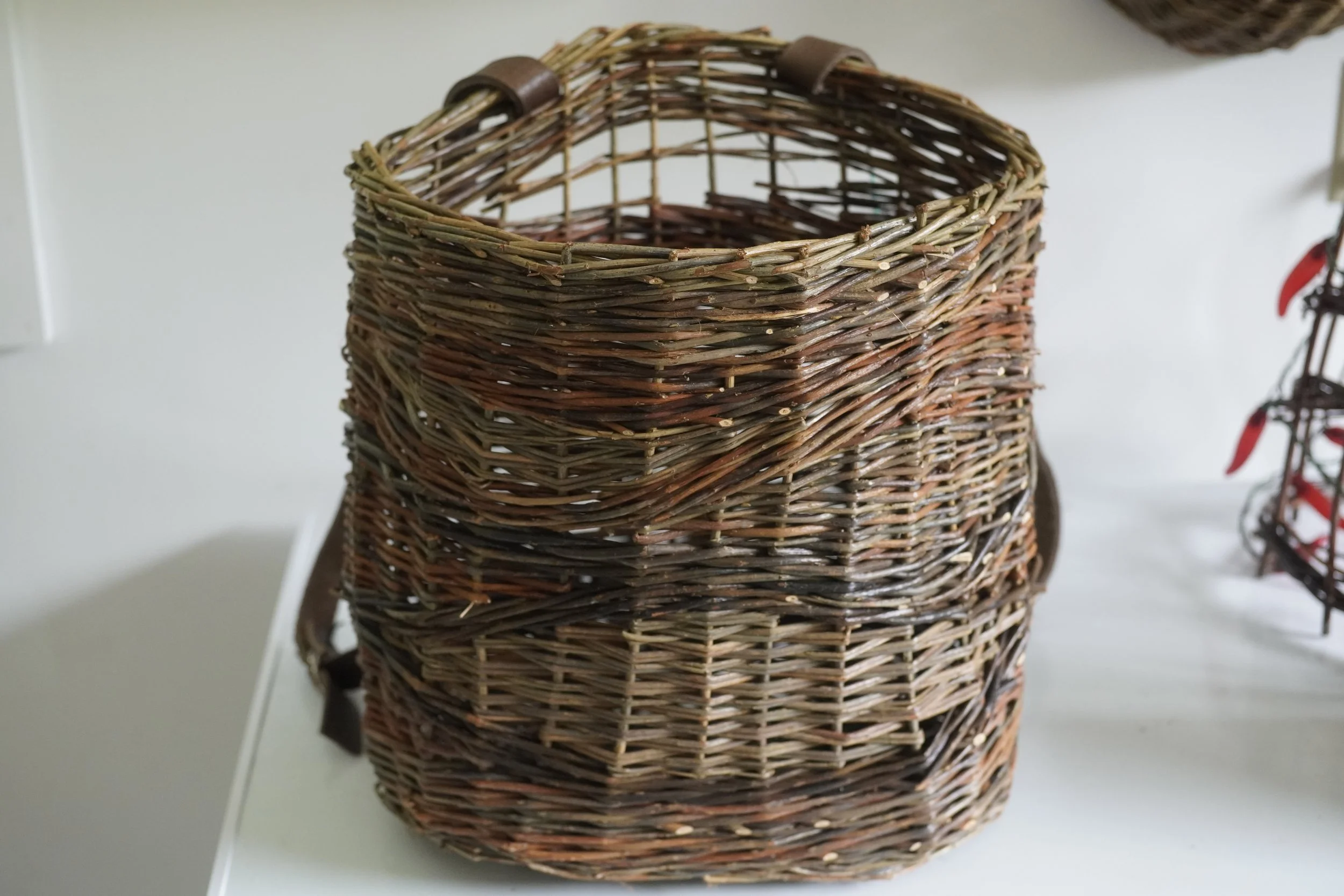 _DSC2534.jpeg