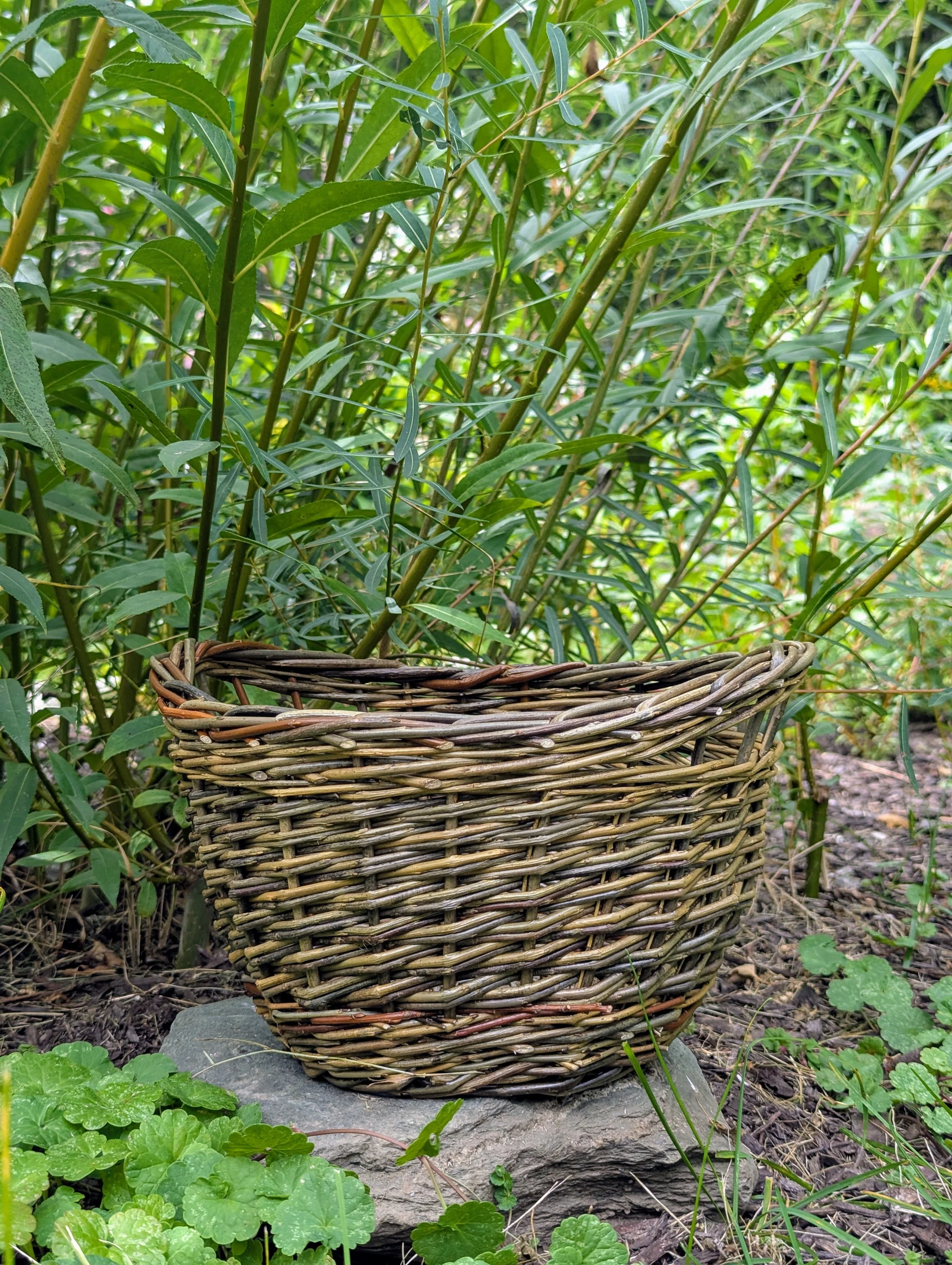willow basket placed on a rock amid green plants and tall bushes in a garden setting.