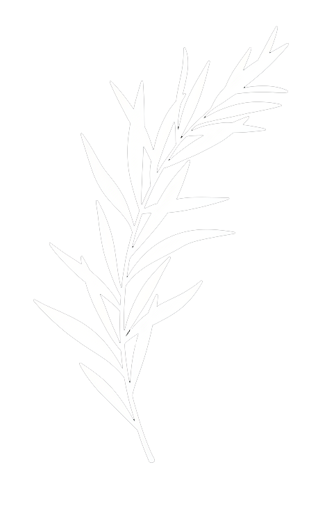 Wendling Willows Basketry White Logo featuring cultivated willow