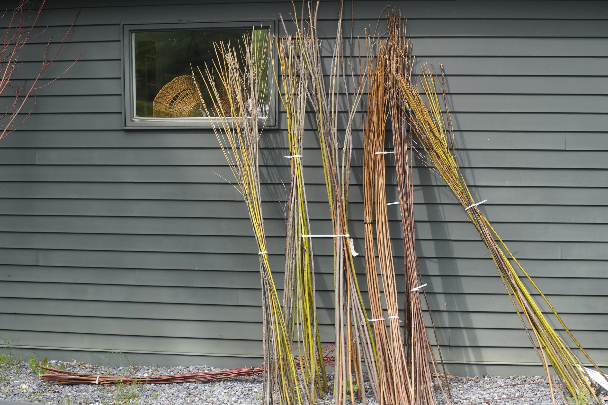 Wendling Willows Basketry Williamstown MA