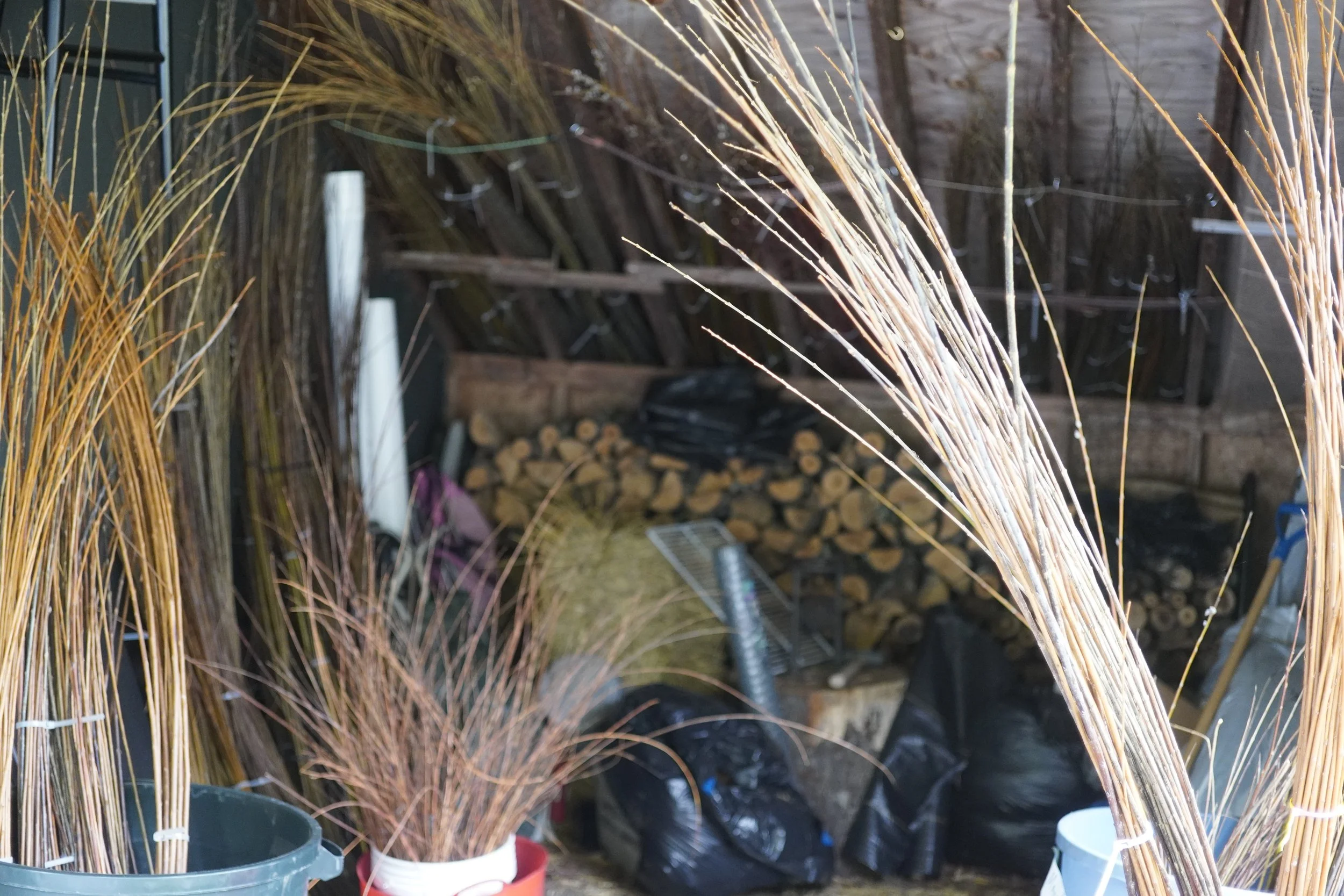 Wendling Willows Basketry  Wiliamstown MA
