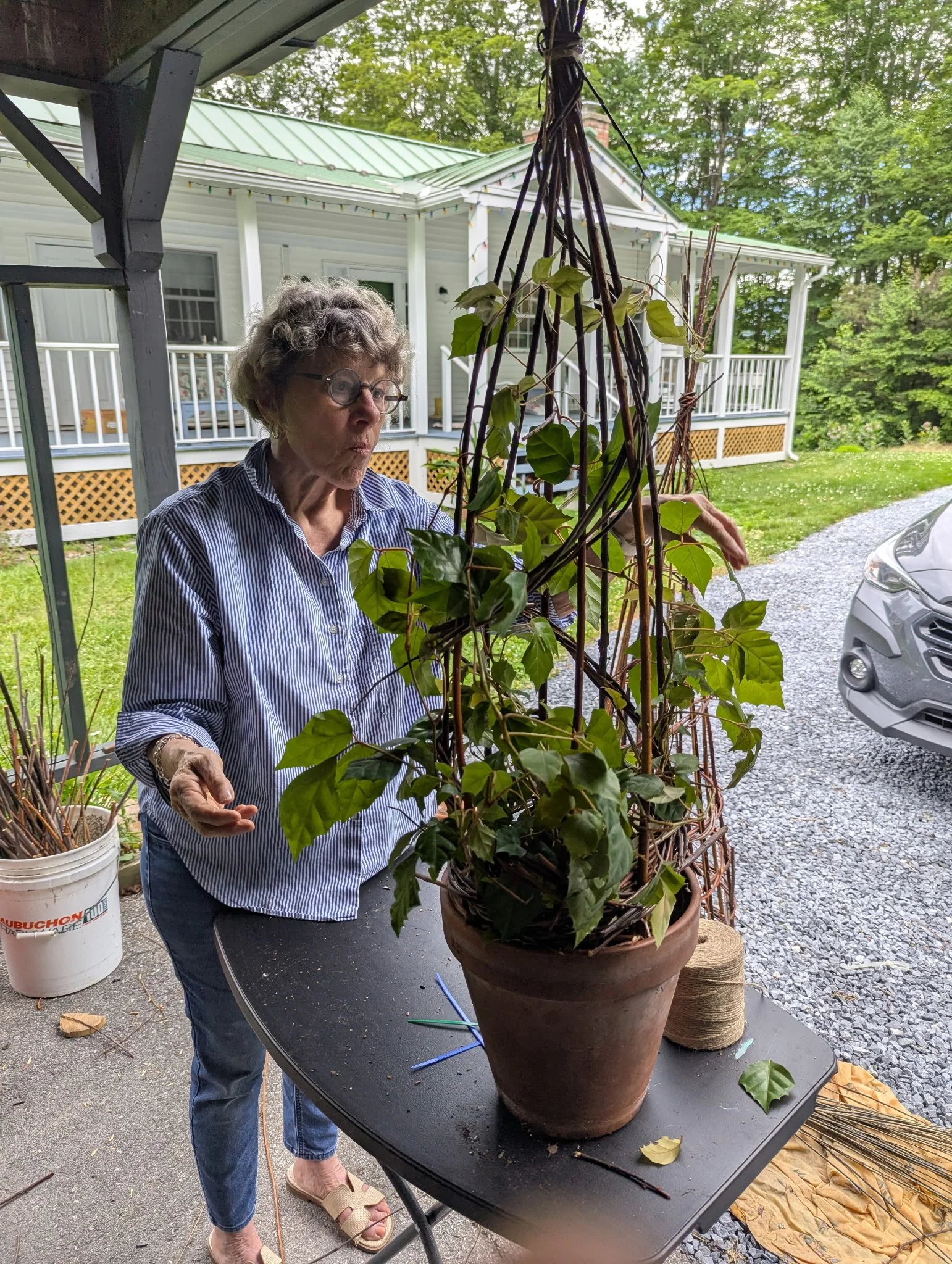 Wendling Willows Willow Garden Obelisk Willow student work Workshops Williamstown, Massachusetts