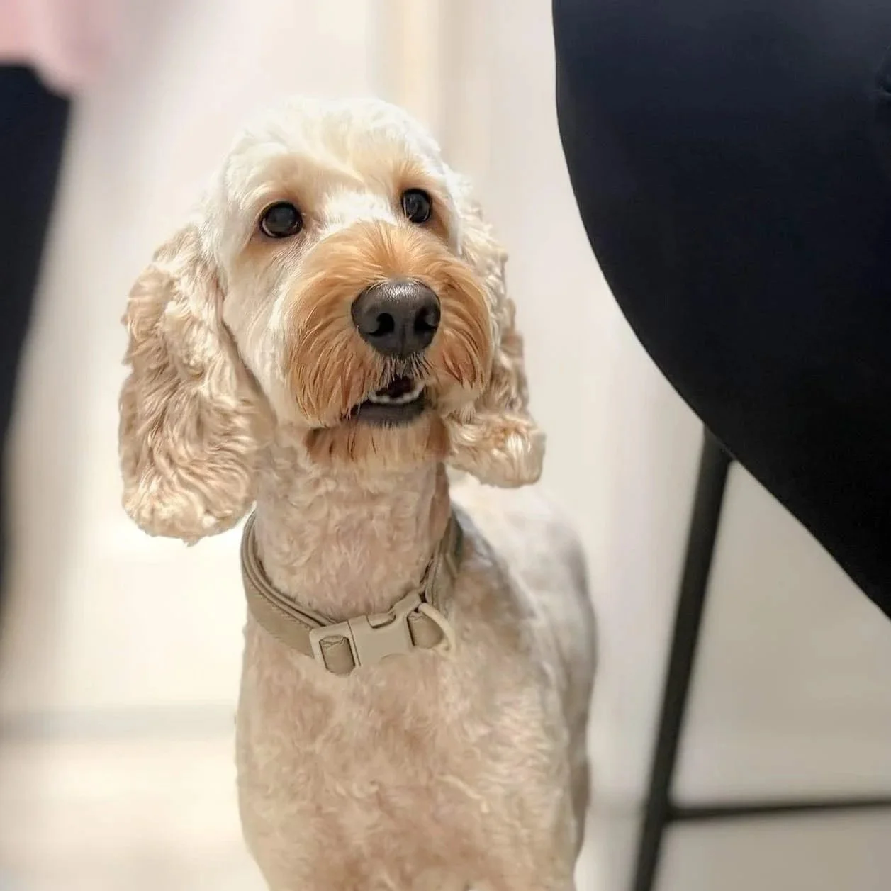 image1+%2816%29.jpg