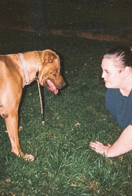 Pipper, CWF's former longest resident rescue dog now adopted