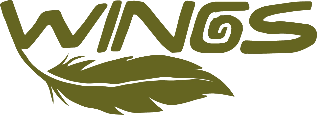 Wings of America logo