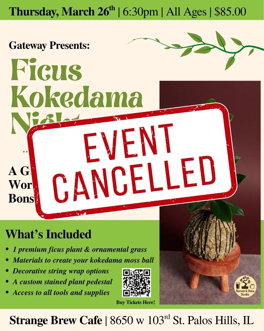 Ficus Kokedama Night! 