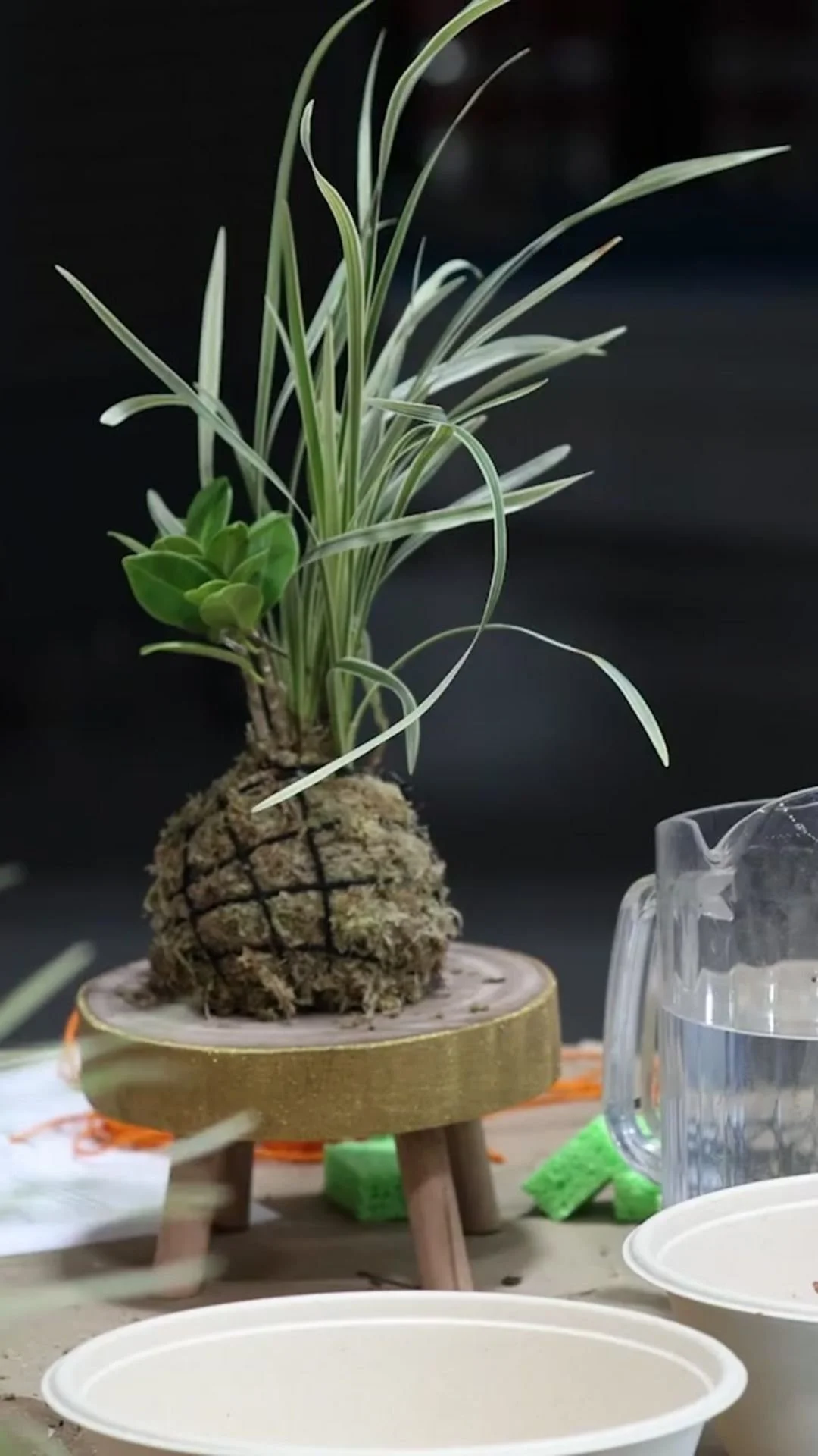 Untitled design (3).jpg