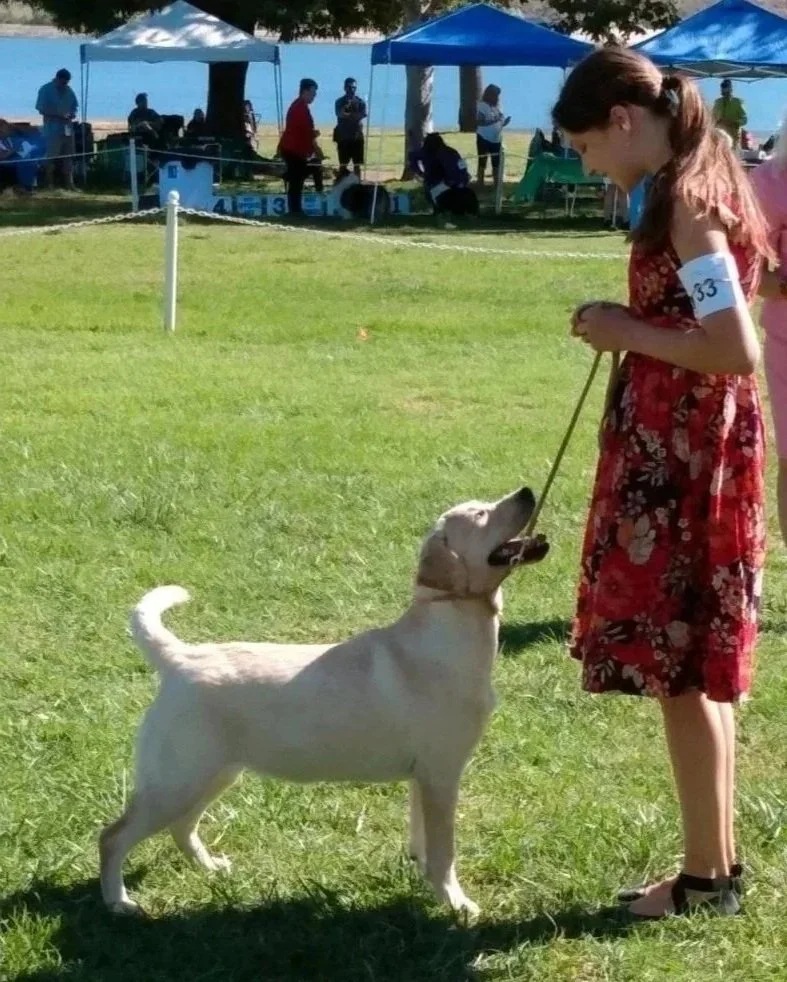 Ghoststone Trixie Show