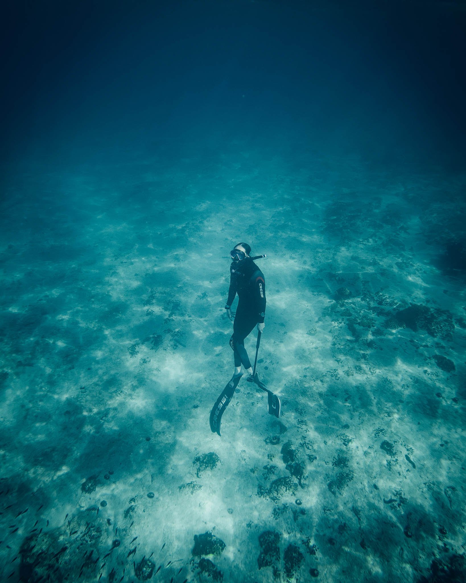 Steve Aoki Free Diving underwater looking at the ocean floor while on tour in 2024 captured by James Bridle Music Photographer UK 