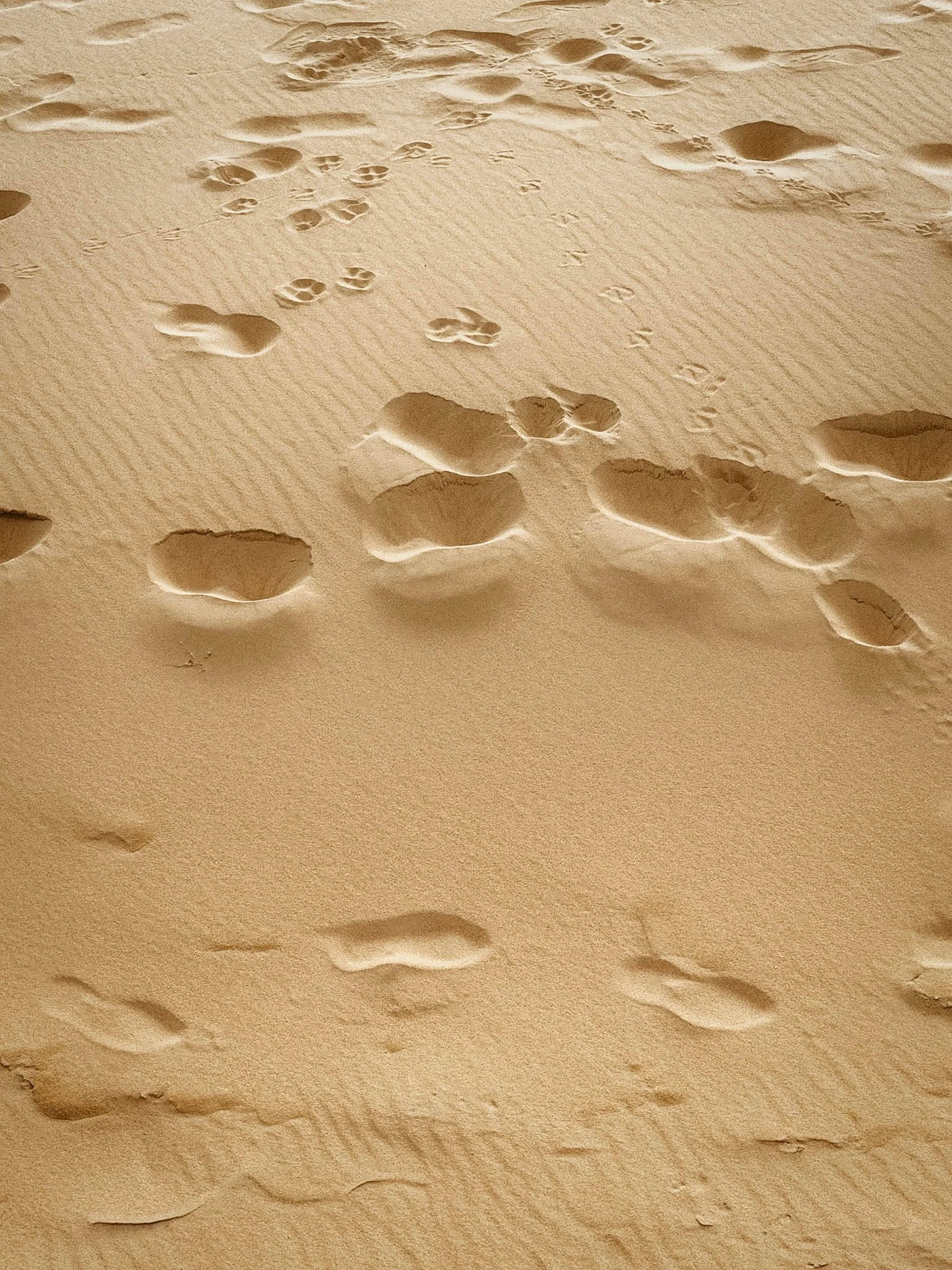 Travel &amp; all its beauty