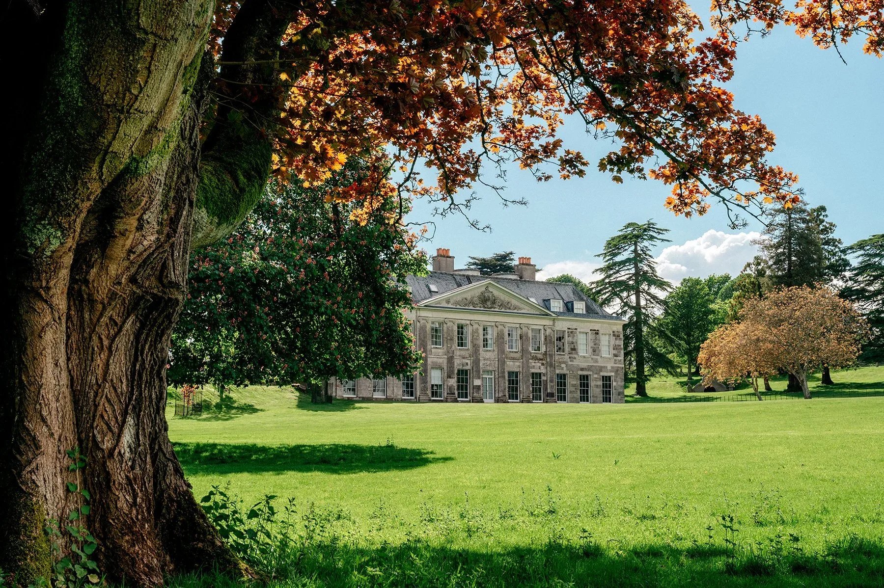 Charborough Estate, Dorset. A stately historic mansion surrounded by lush green lawns and trees, with some trees displaying early fall foliage and a partly cloudy sky.