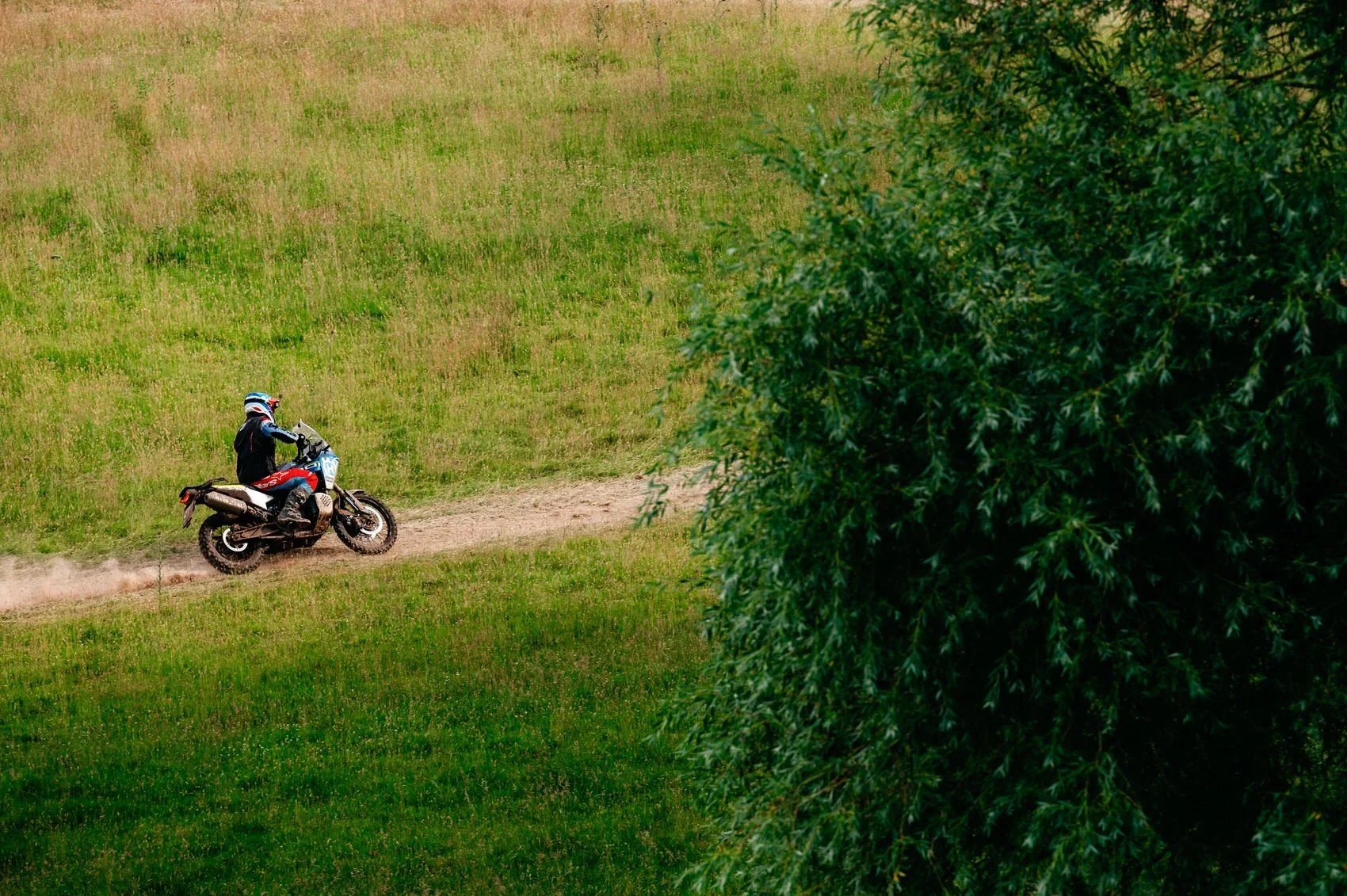 A person riding a dirt bike along a grassy trail near a large leafy tree in a field.