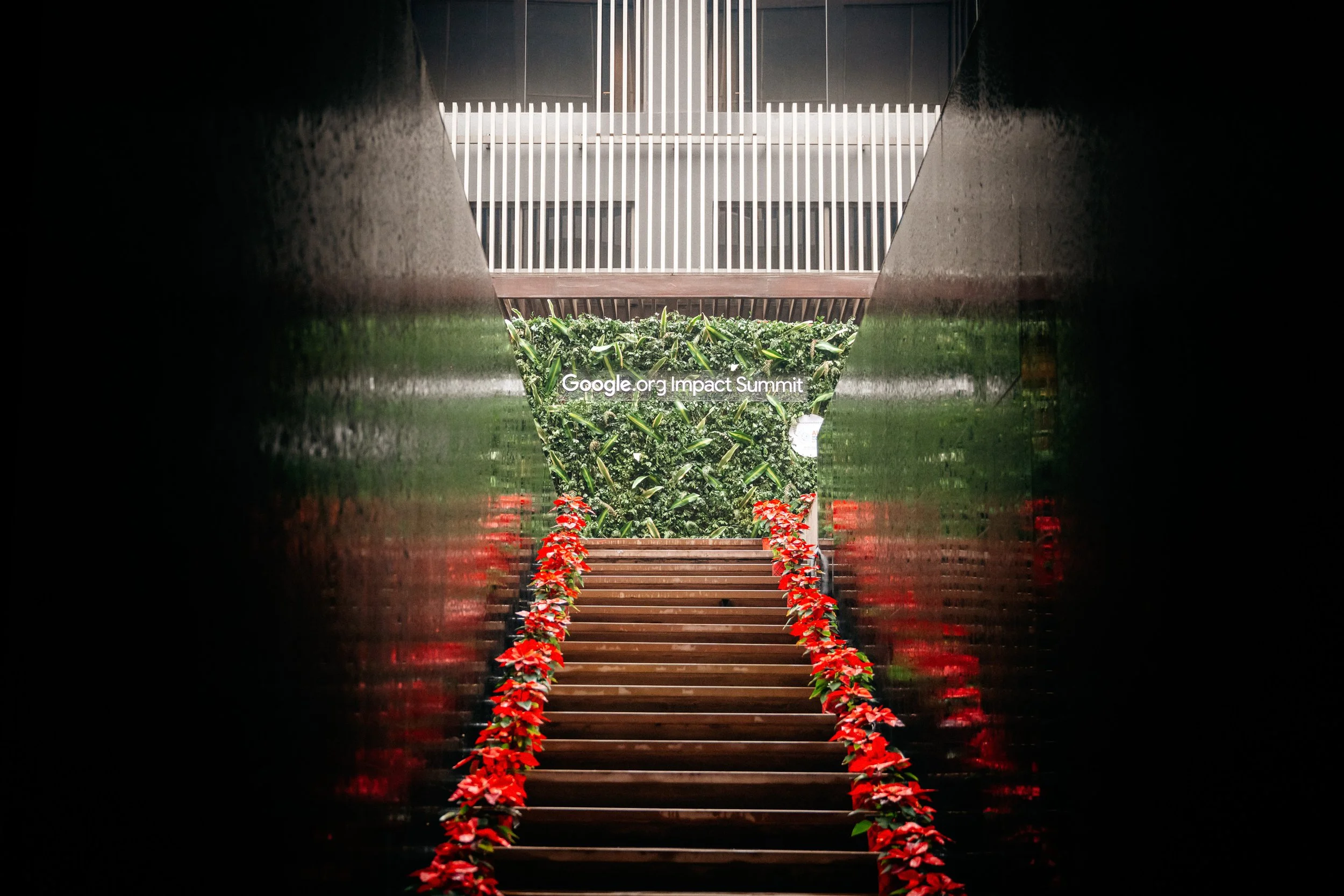 Google Ai Summit India, A wooden staircase bordered by red poinsettia plants leading towards a lush green wall with a sign that reads 'Google.org Impact Summit,' seen through a dark, tunnel-like opening.