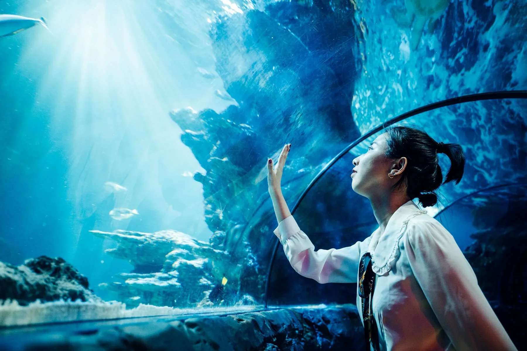 A woman in a white shirt touches the glass of an aquarium exhibit with marine animals inside, illuminated by blue water and sunlight.