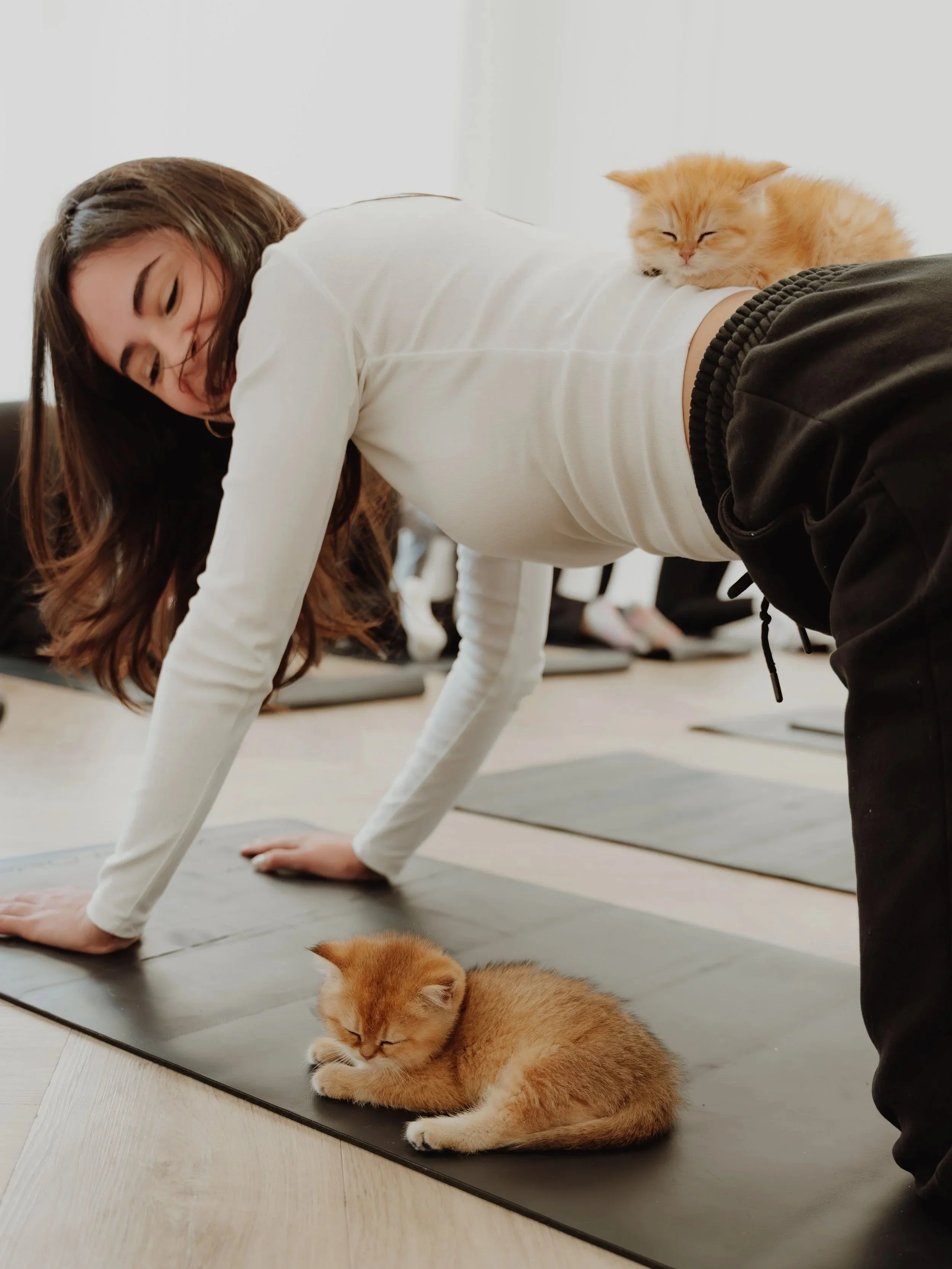 A woman doing yoga with one ginger kitten on her back and another on the floor near her while she is in a plank pose.