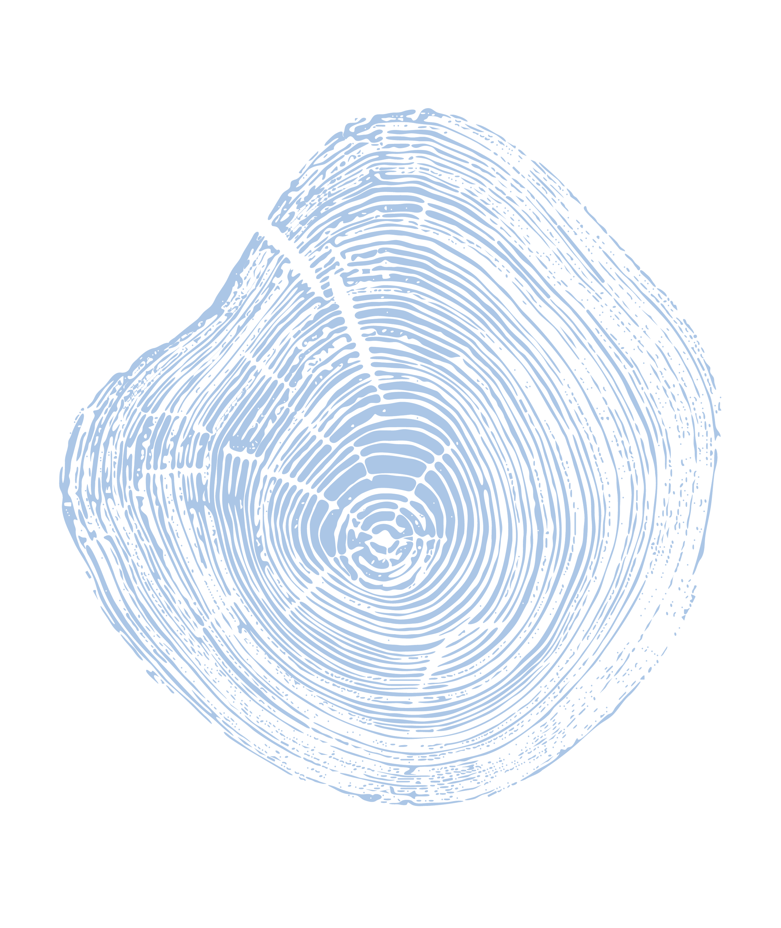 Close-up of a tree cross-section showing growth rings and a small crack.