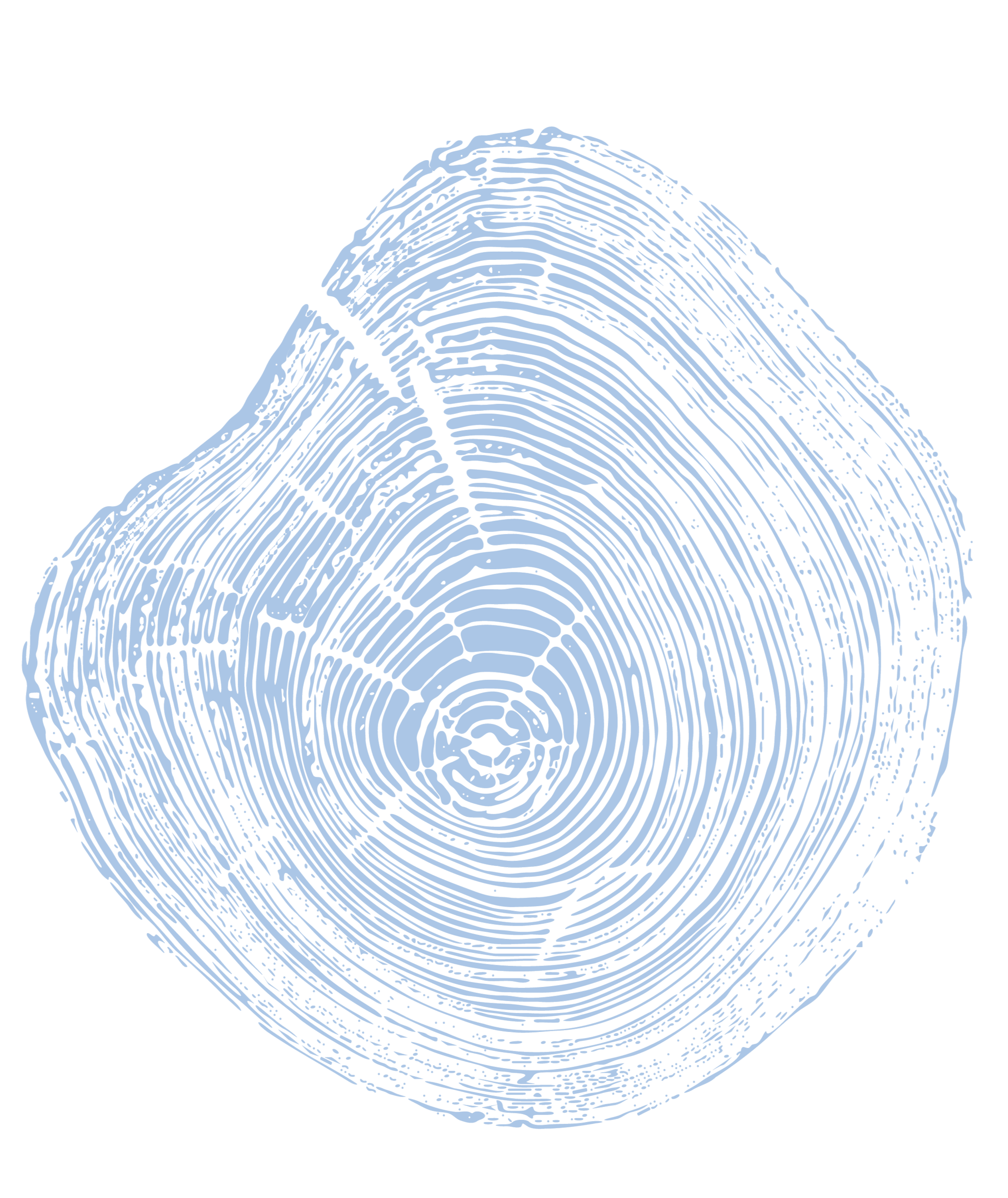 A digital image of a fingerprint pattern in light blue on a black background.