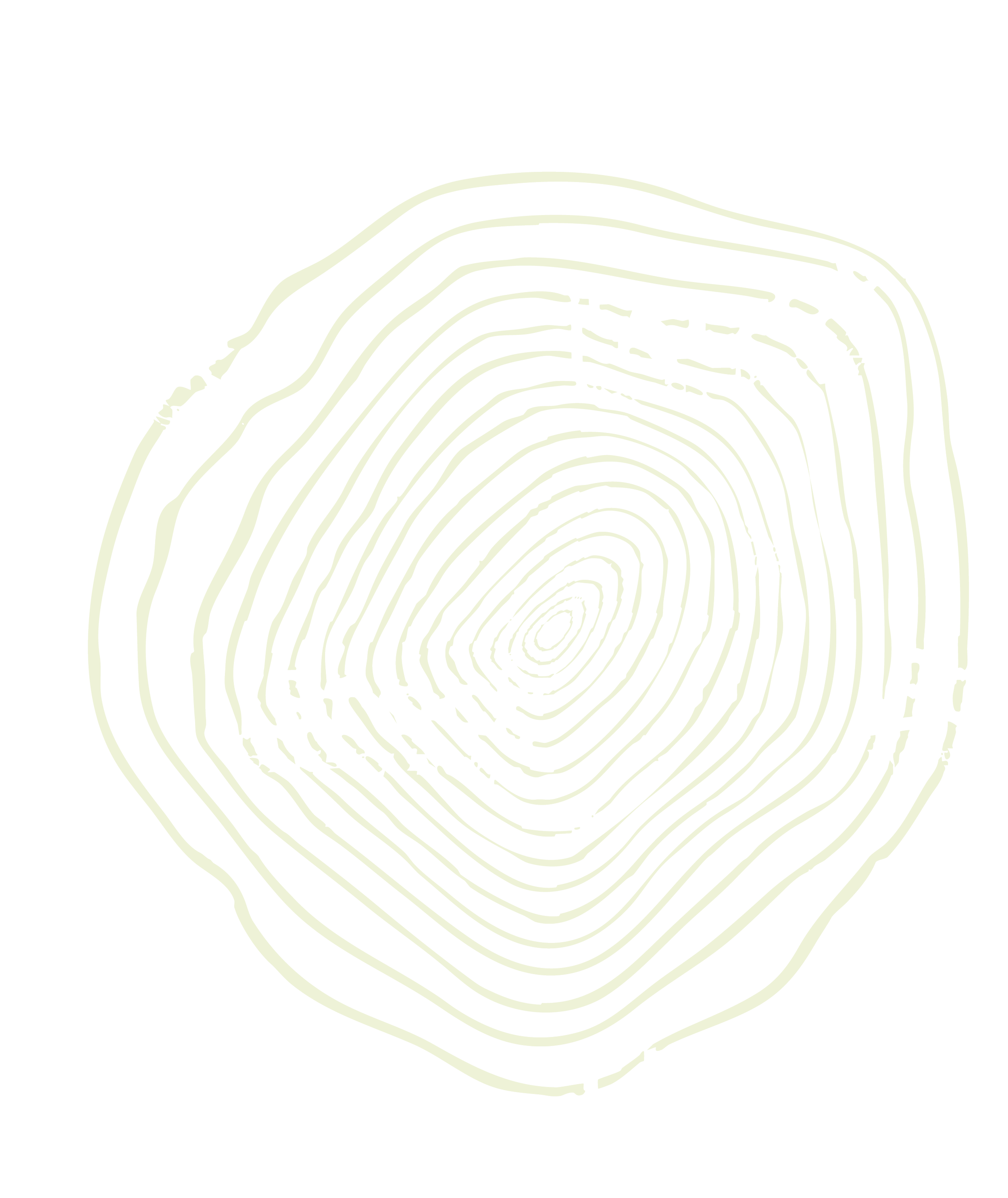 Line drawing of a tree cross-section showing growth rings on a black background.