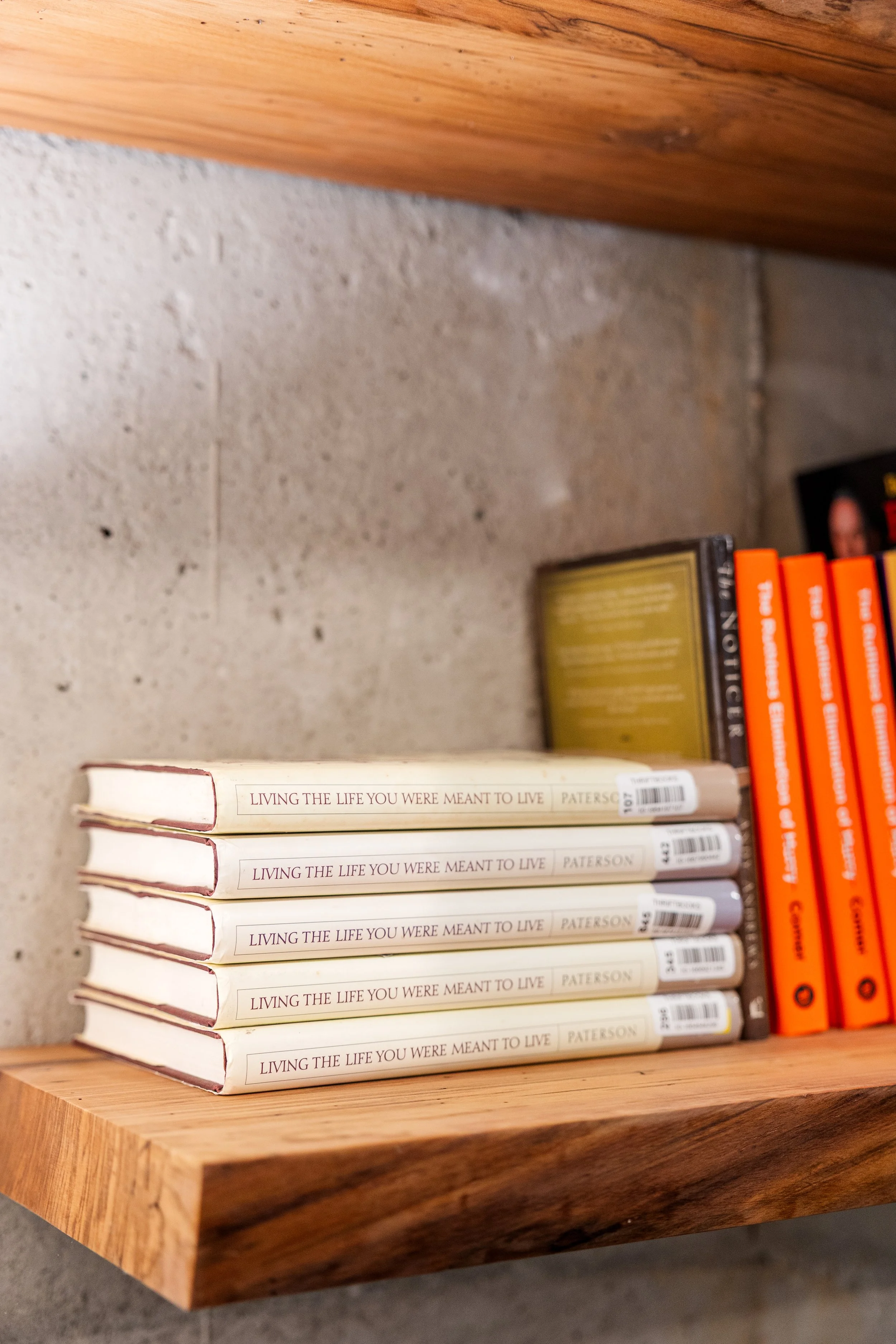 Journals and planning tools prepared for a LifePlan session focused on clarity and direction.