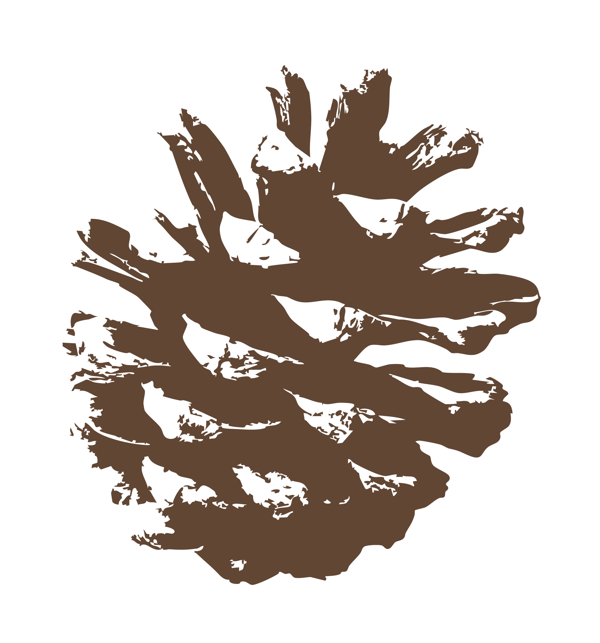Illustration of a pine cone with brown and black outlines on a black background.