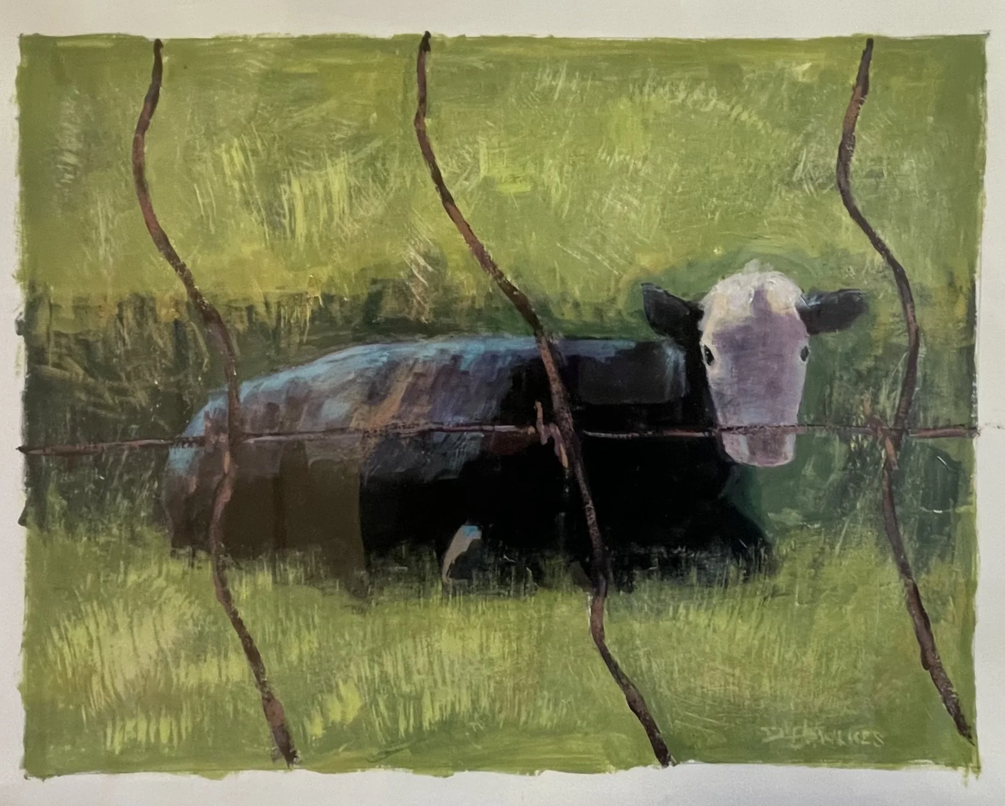 Through the Fence - $360