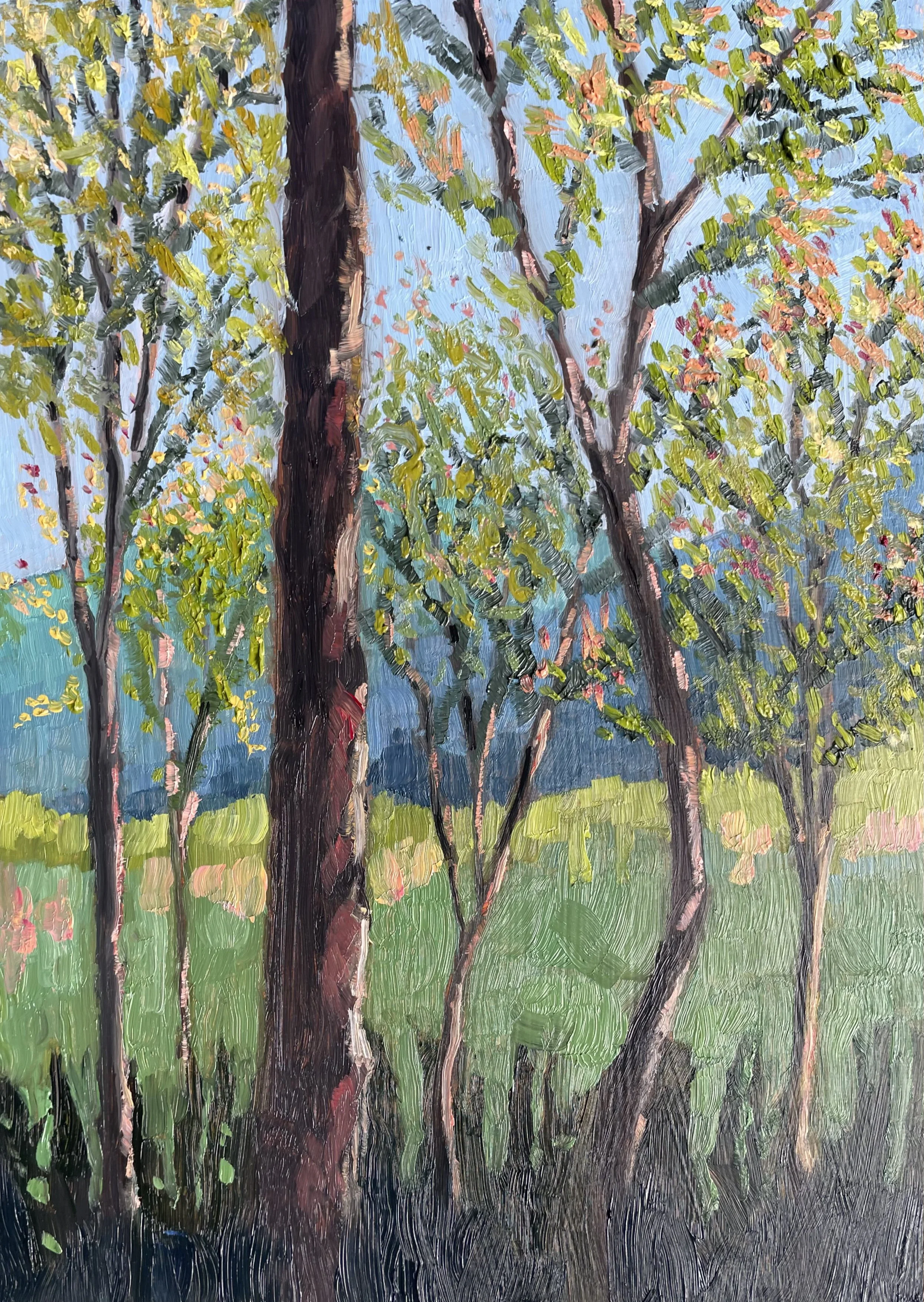 Whiteside Meadow - $175