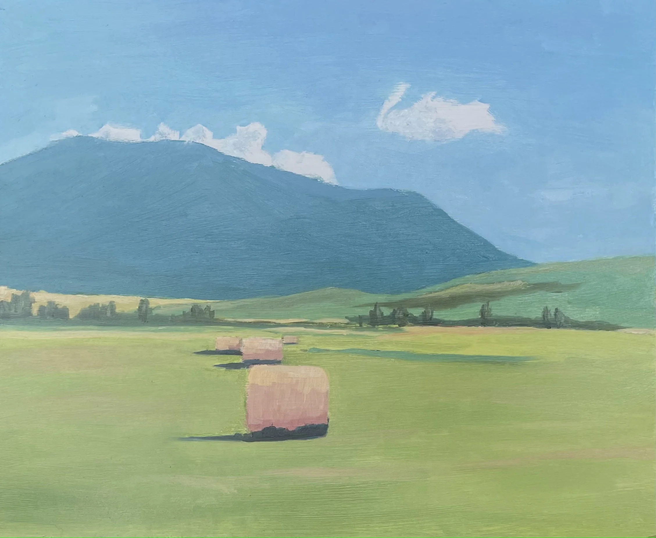 Sleeping Indian - $185 (SOLD)